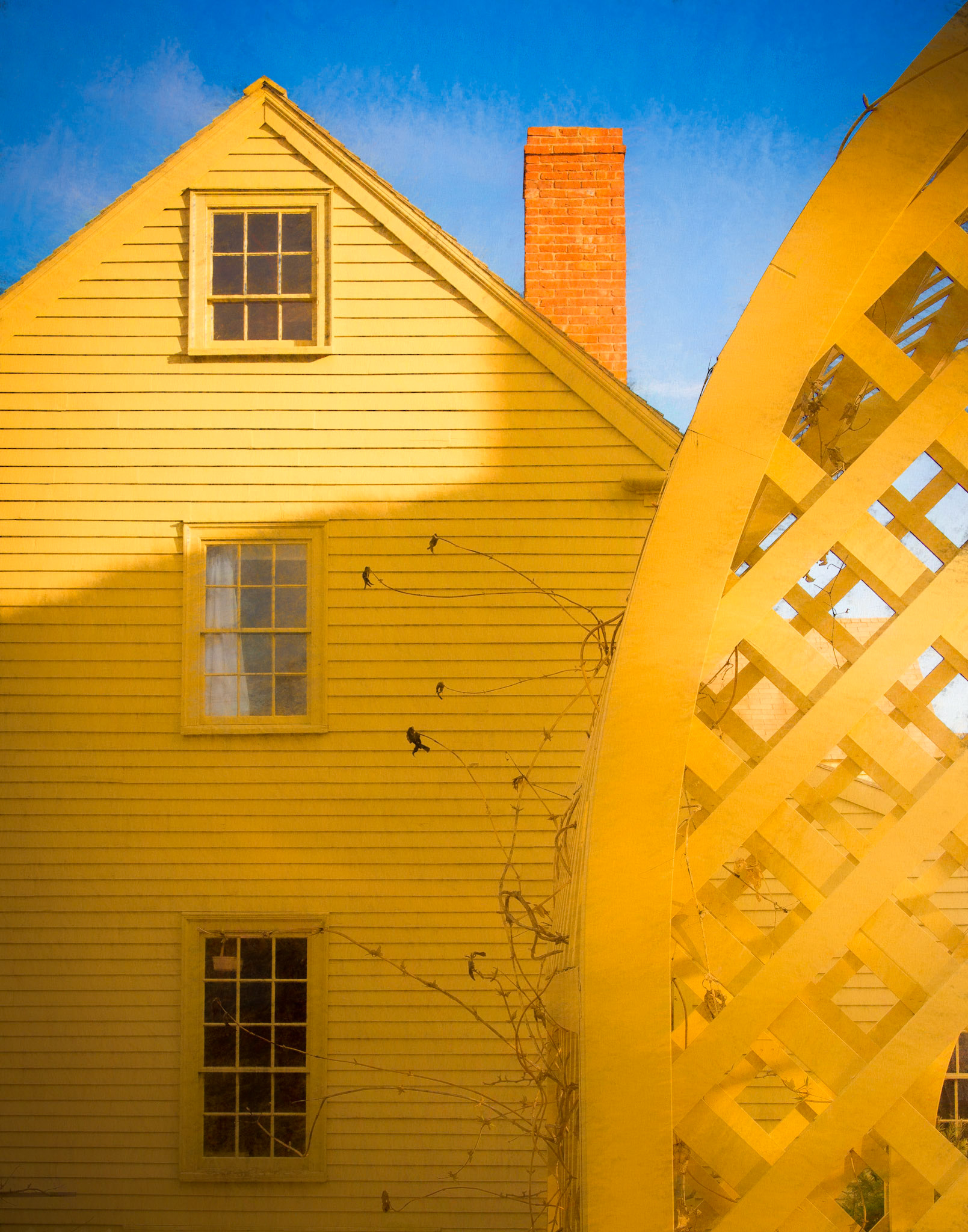 Cotton Tenant House &amp; Herb Garden