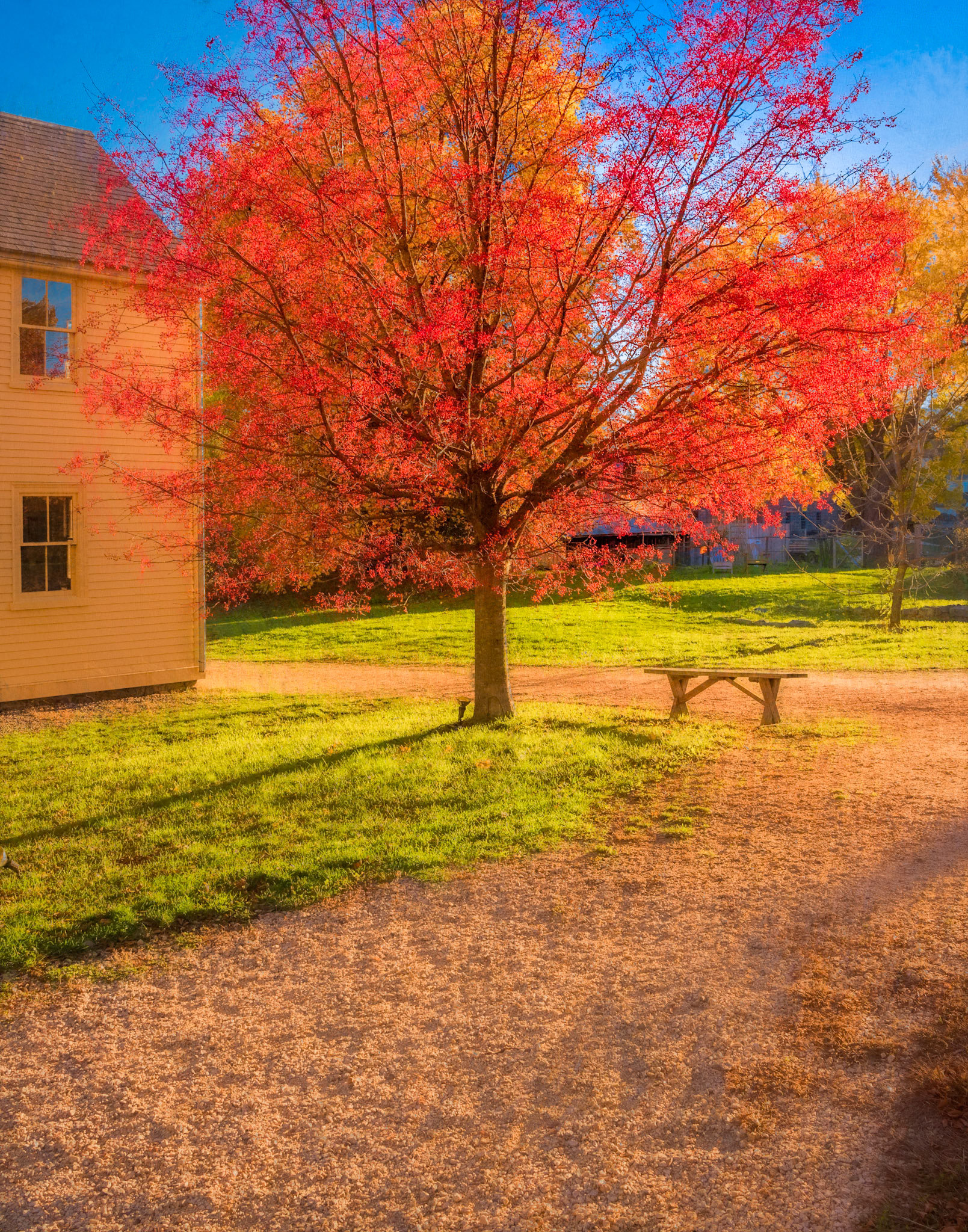 Jackson House Fall Splendor