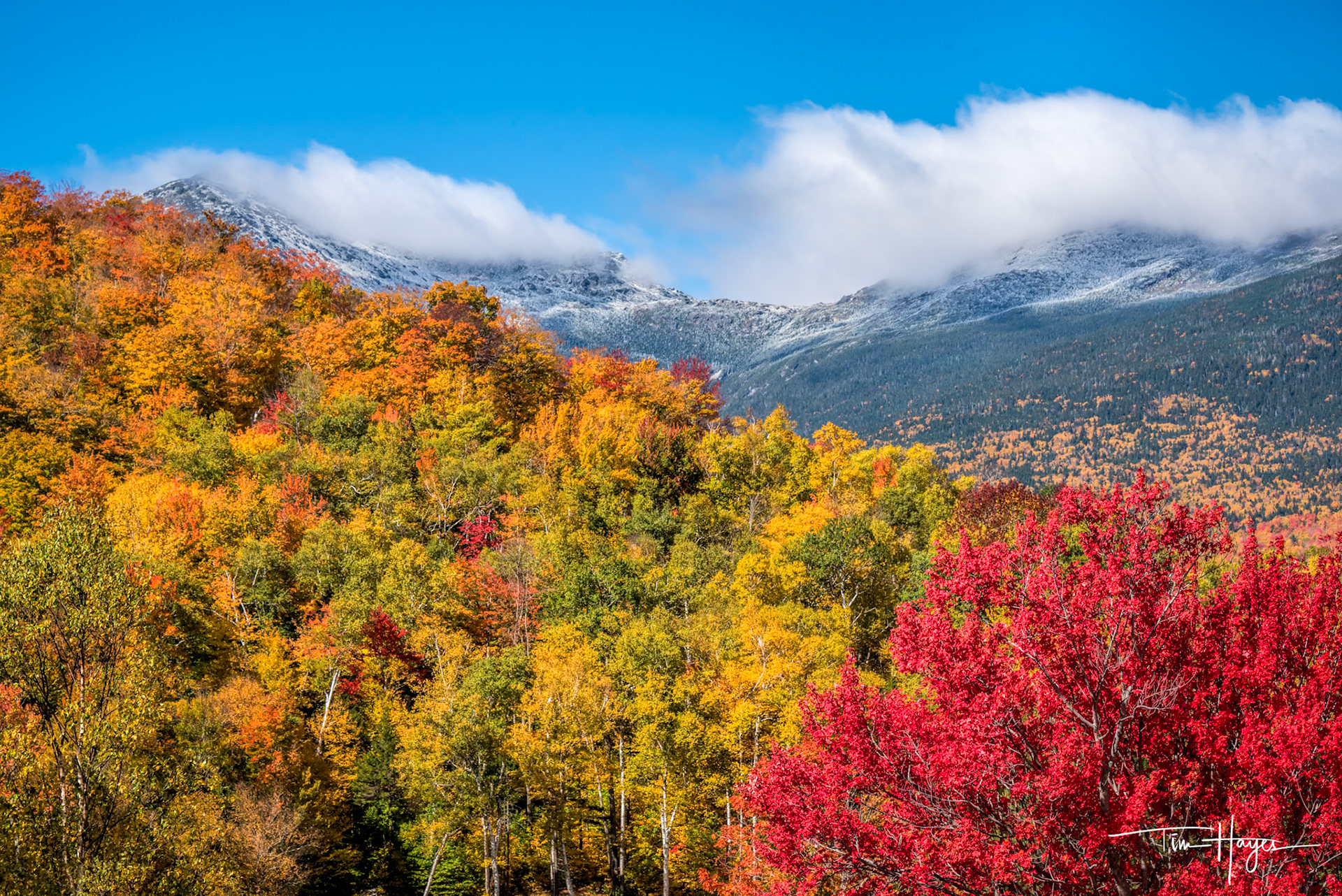 White Mountain Vista