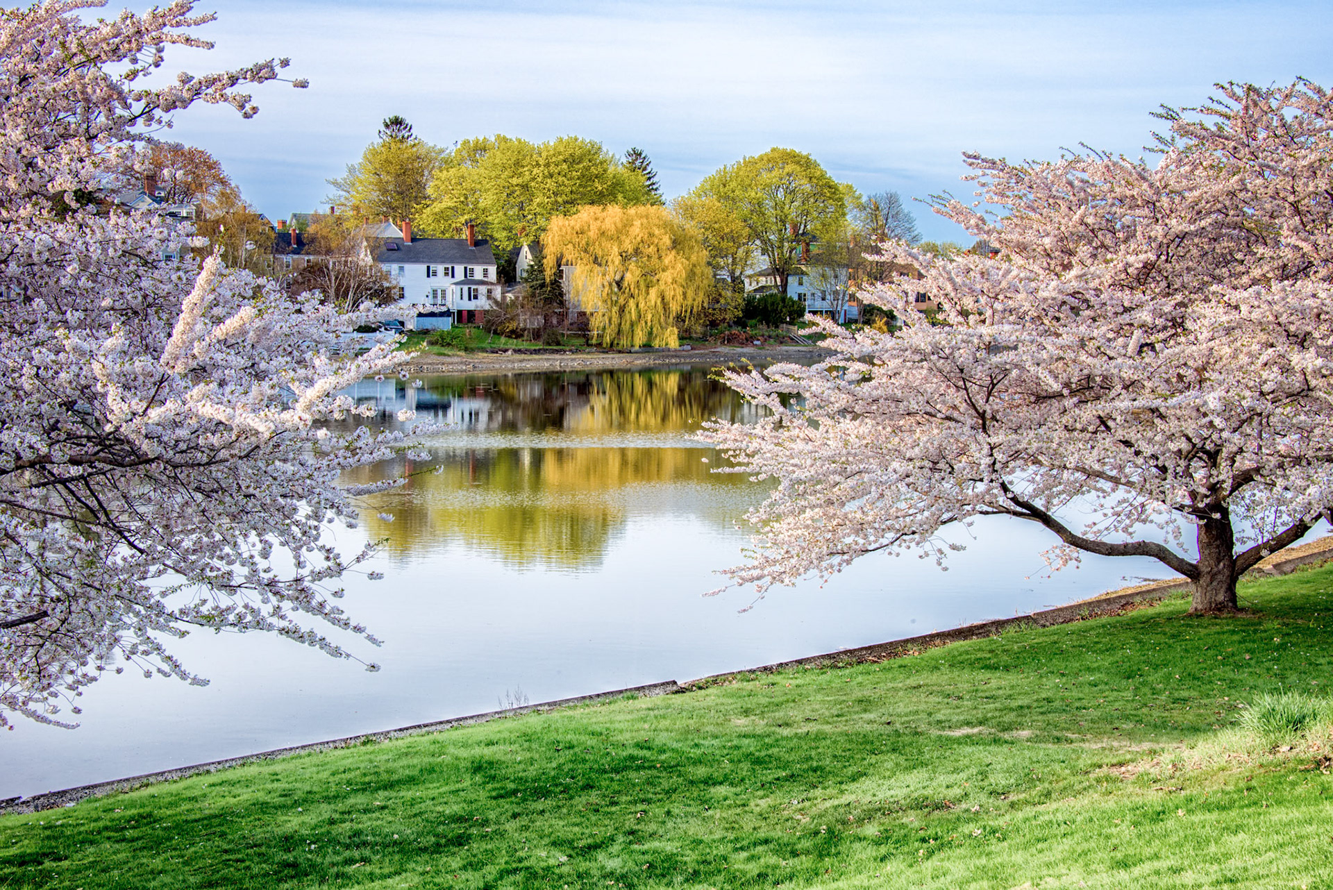 Spring on South Mill Pond