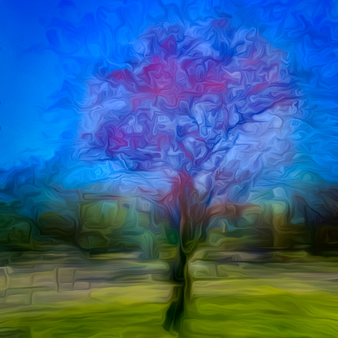 Pink flowering tree