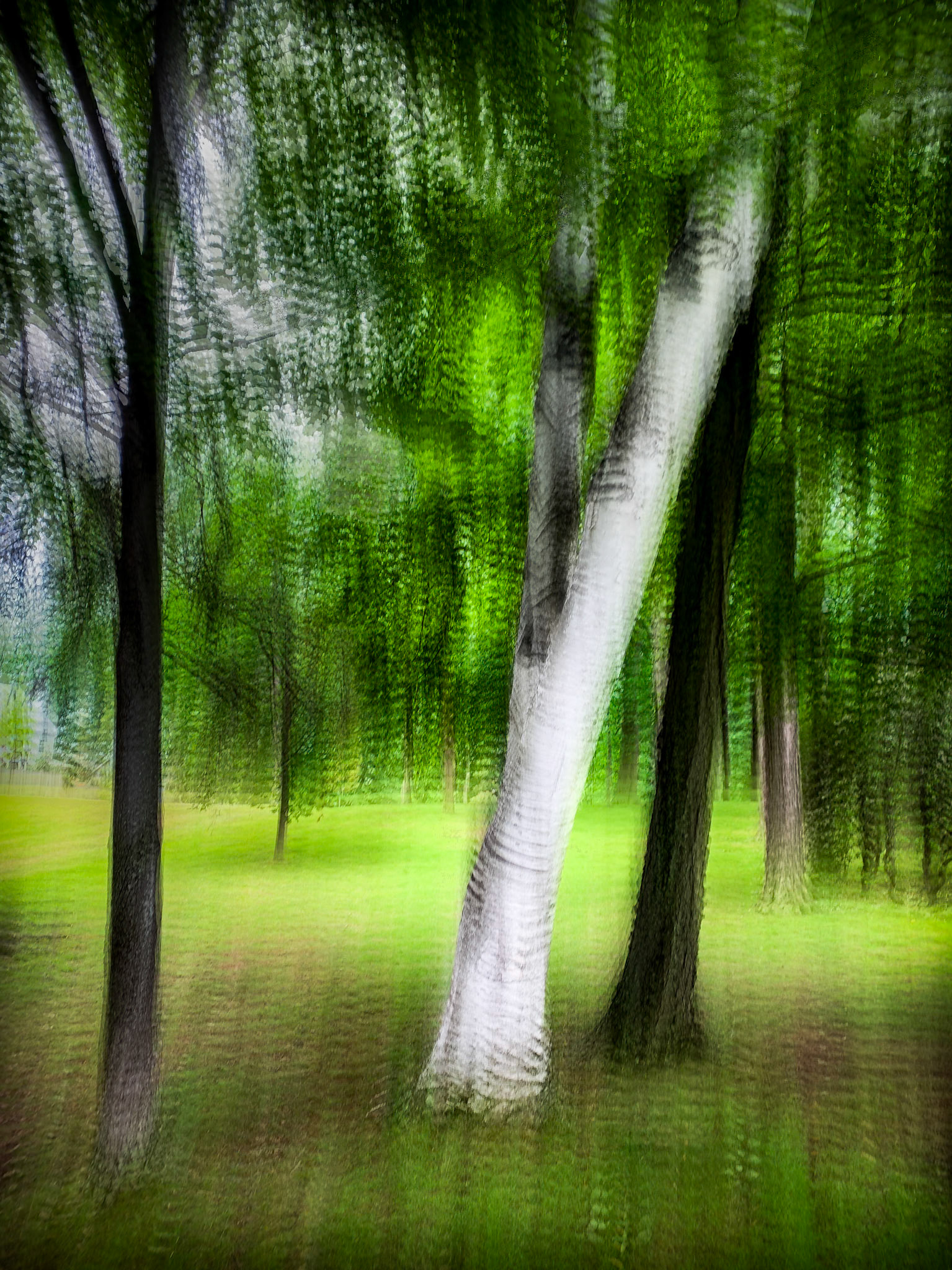 Used iPhone Slow Shutter app ◆