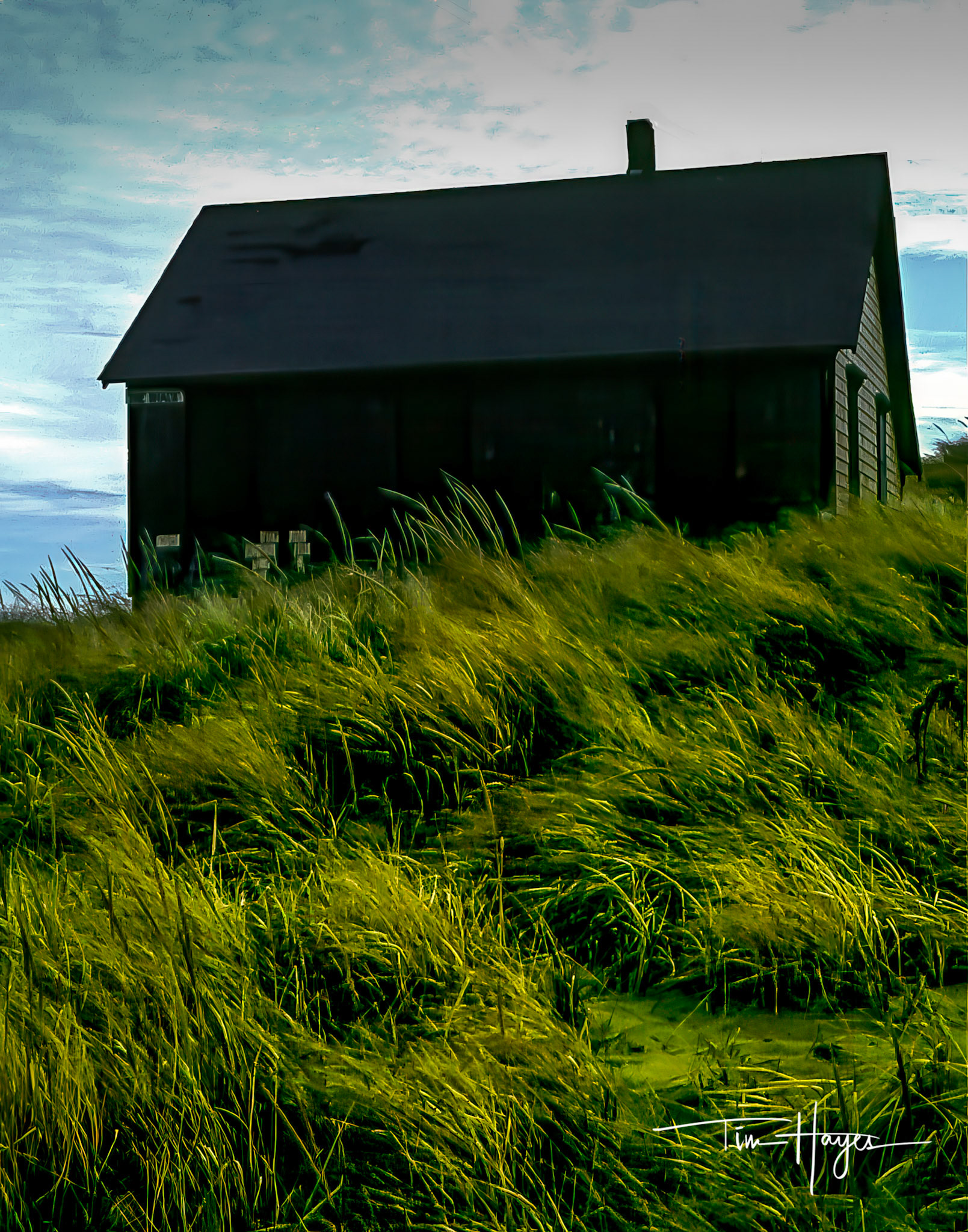 Plum Island Shack