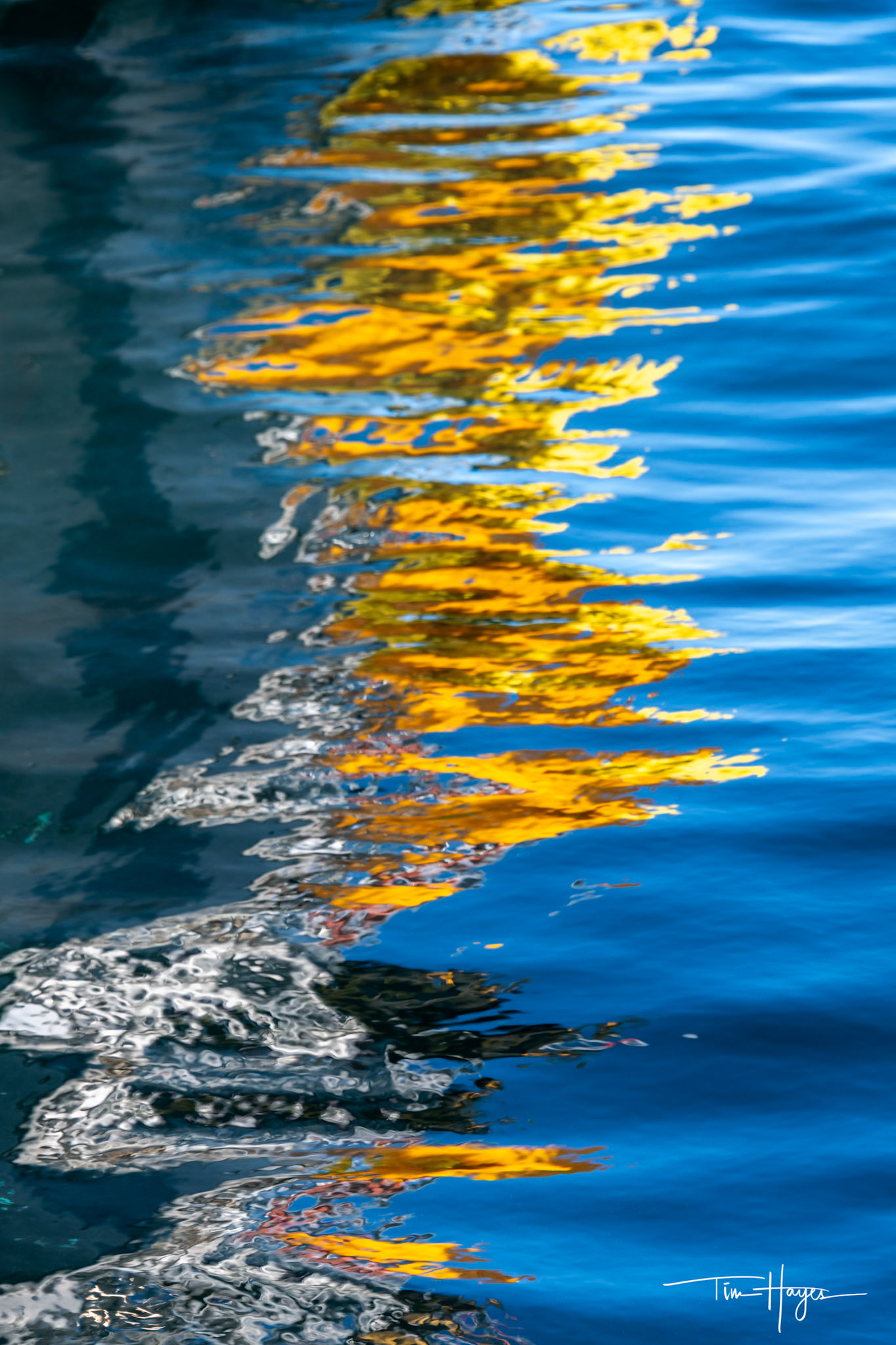 Alison Shaw (MacMillen's Wharf /reflections / P-town)