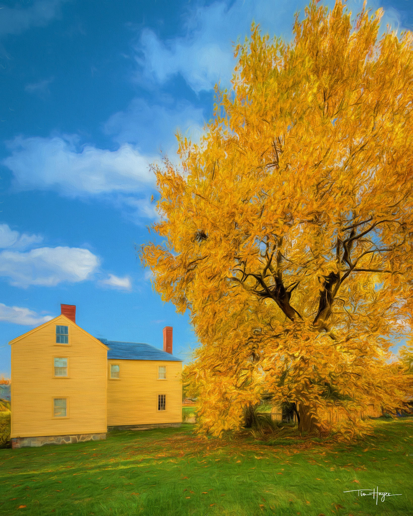 Autumn Majestry - Lowd House