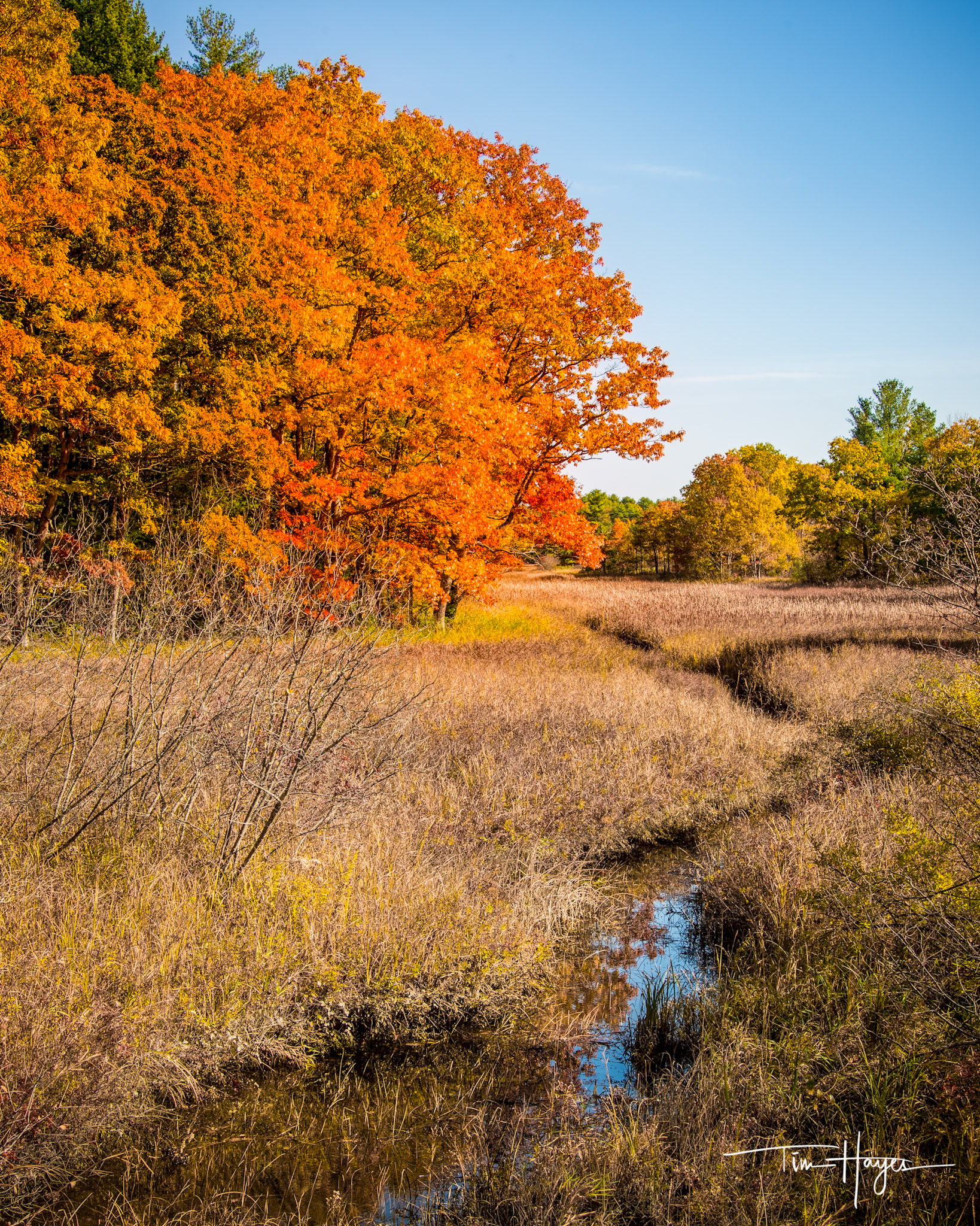 Rodger's Brook - York, ME