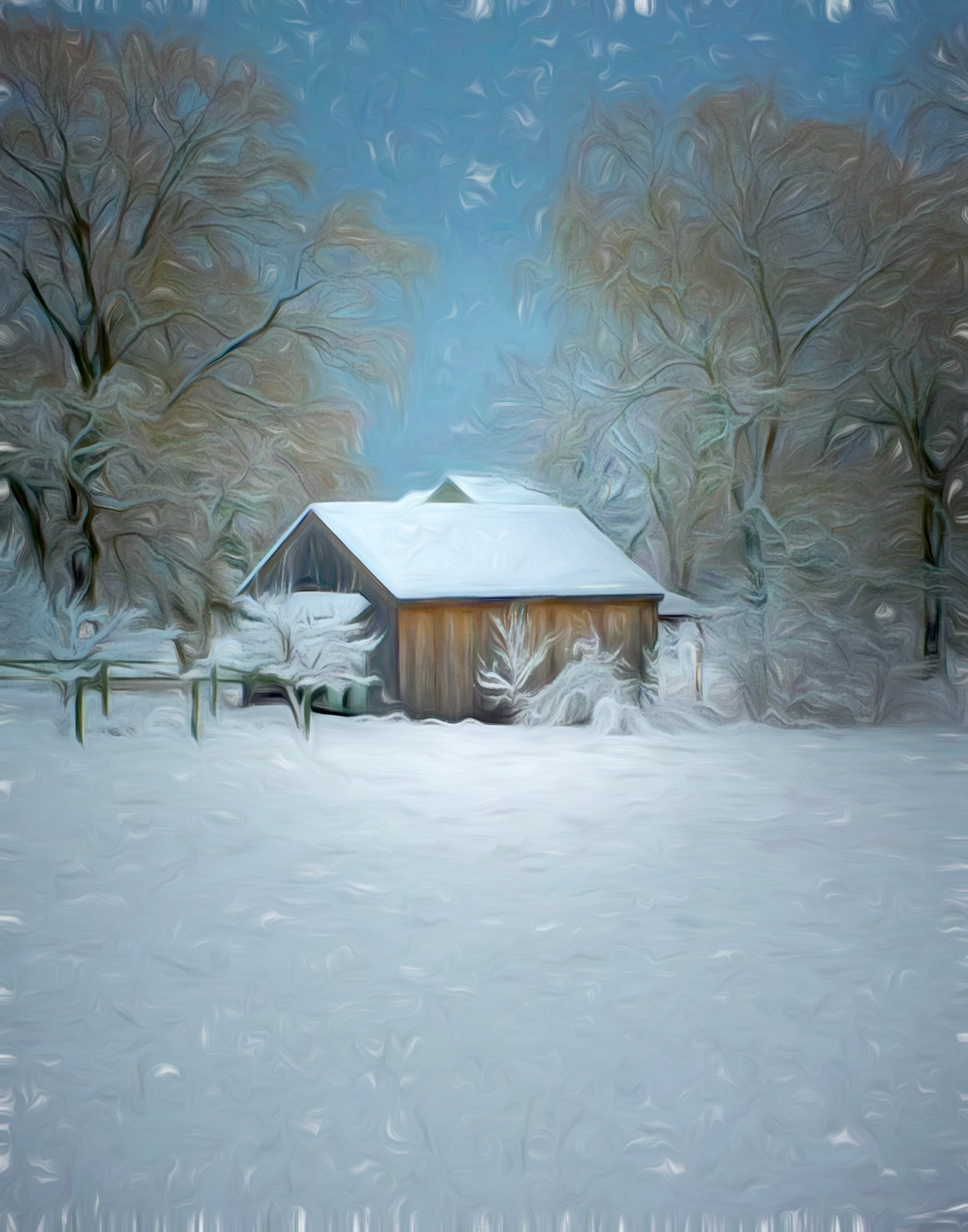 A Winter Walk Discovery