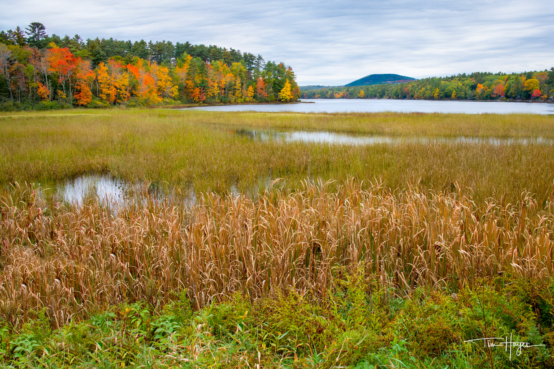 From Maine Back Road