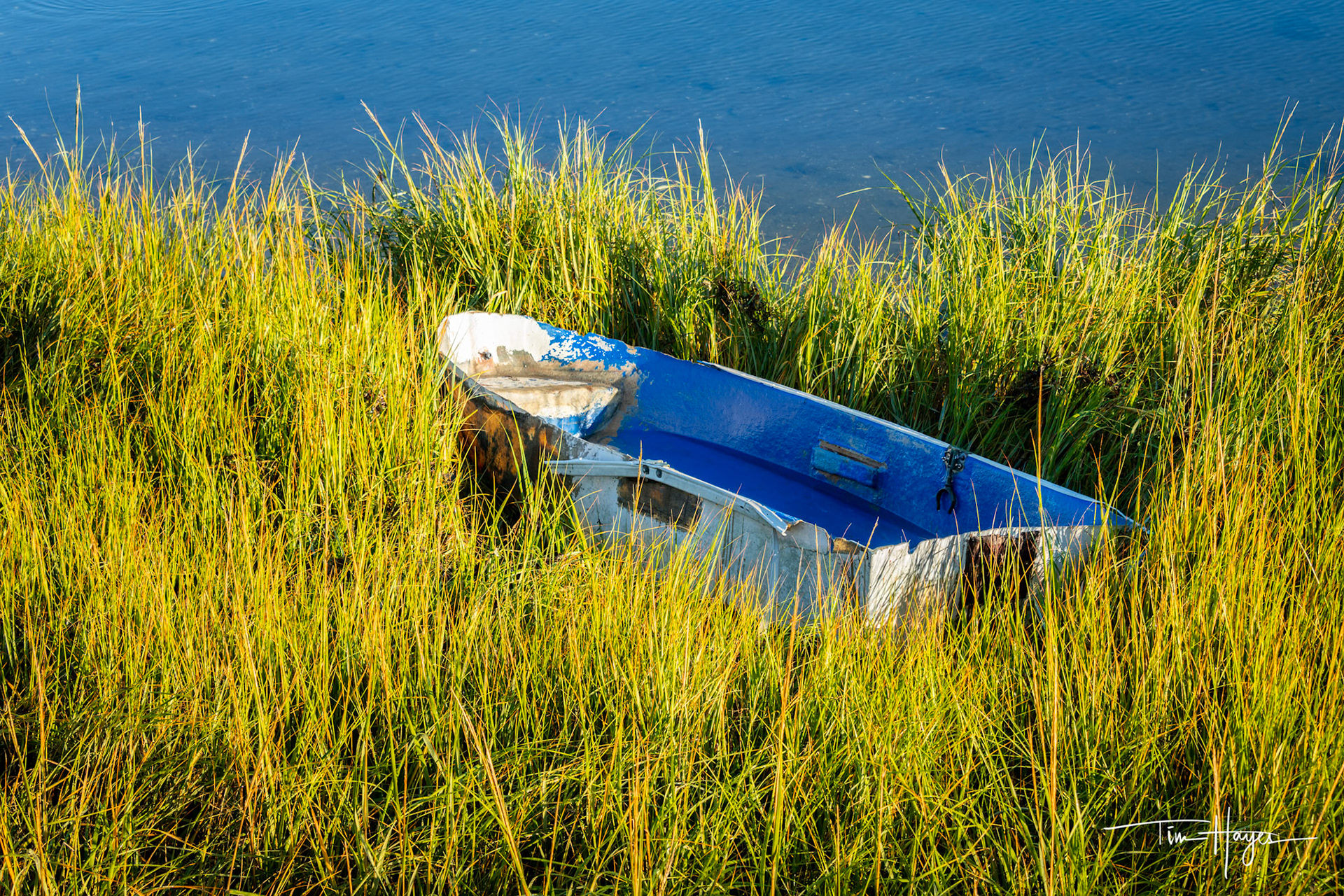 Dory in Cape Cod Pond