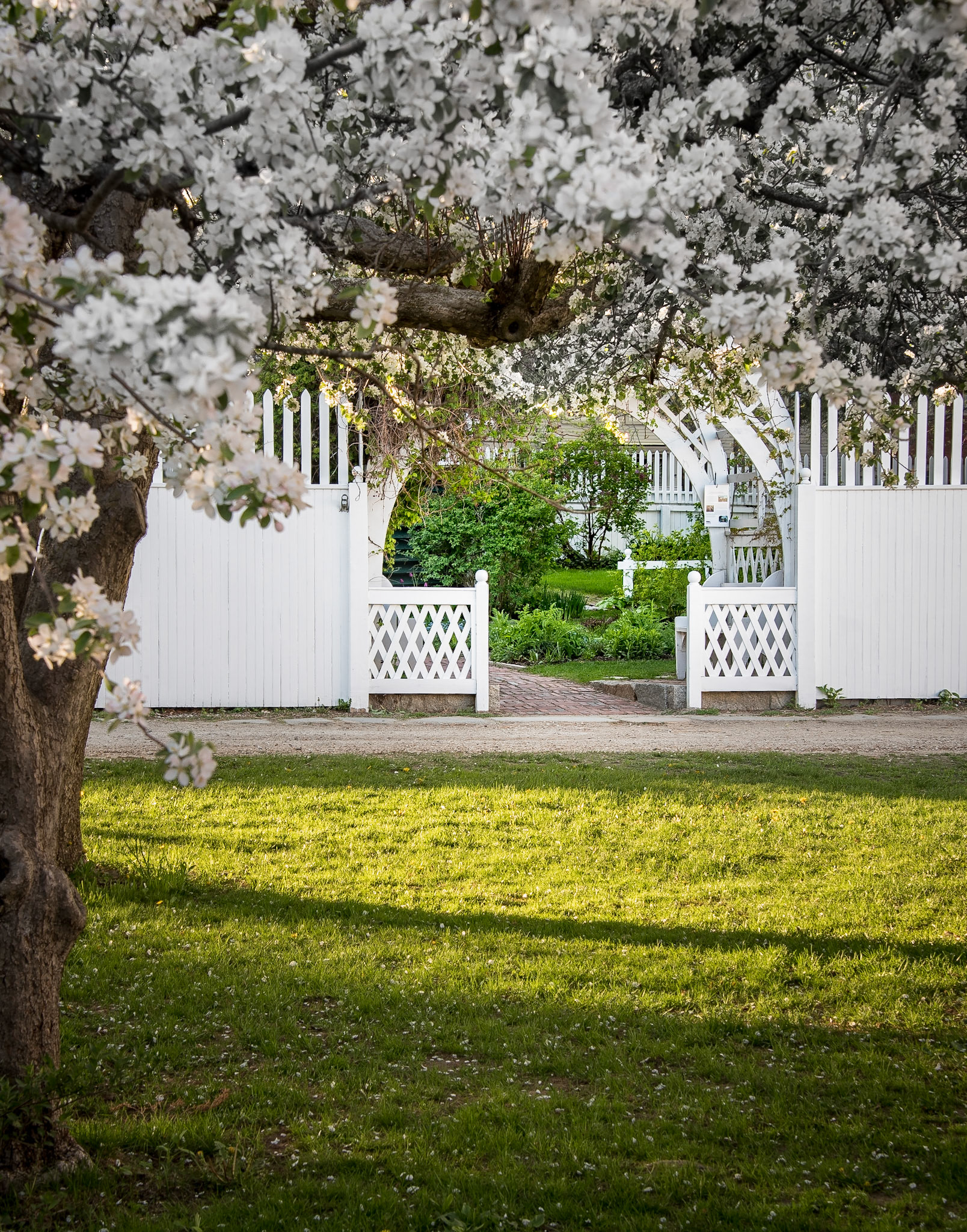 Aldrich House Garden Entrance