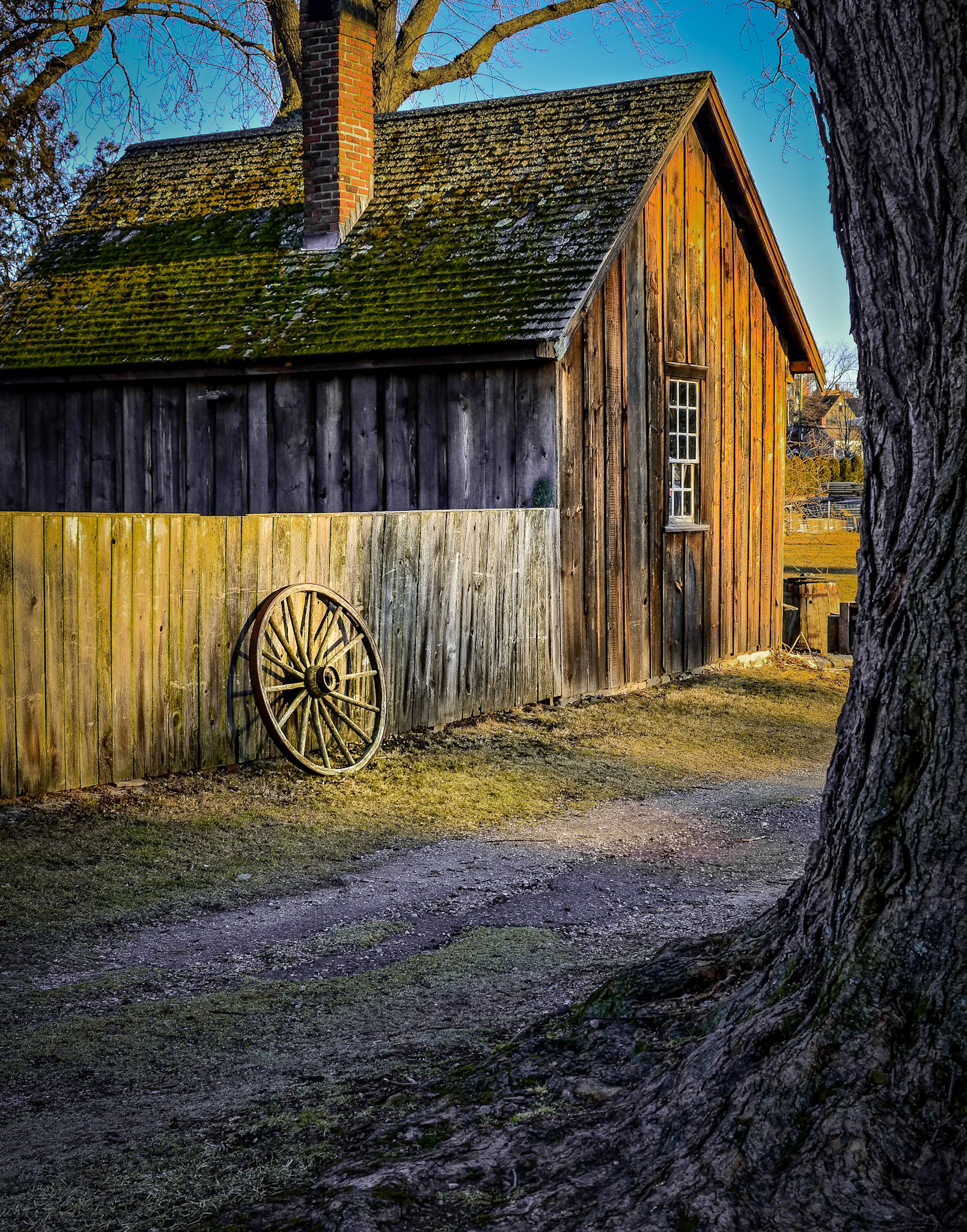 2016 November Base Image #1  (11x14), Cooper Shop,