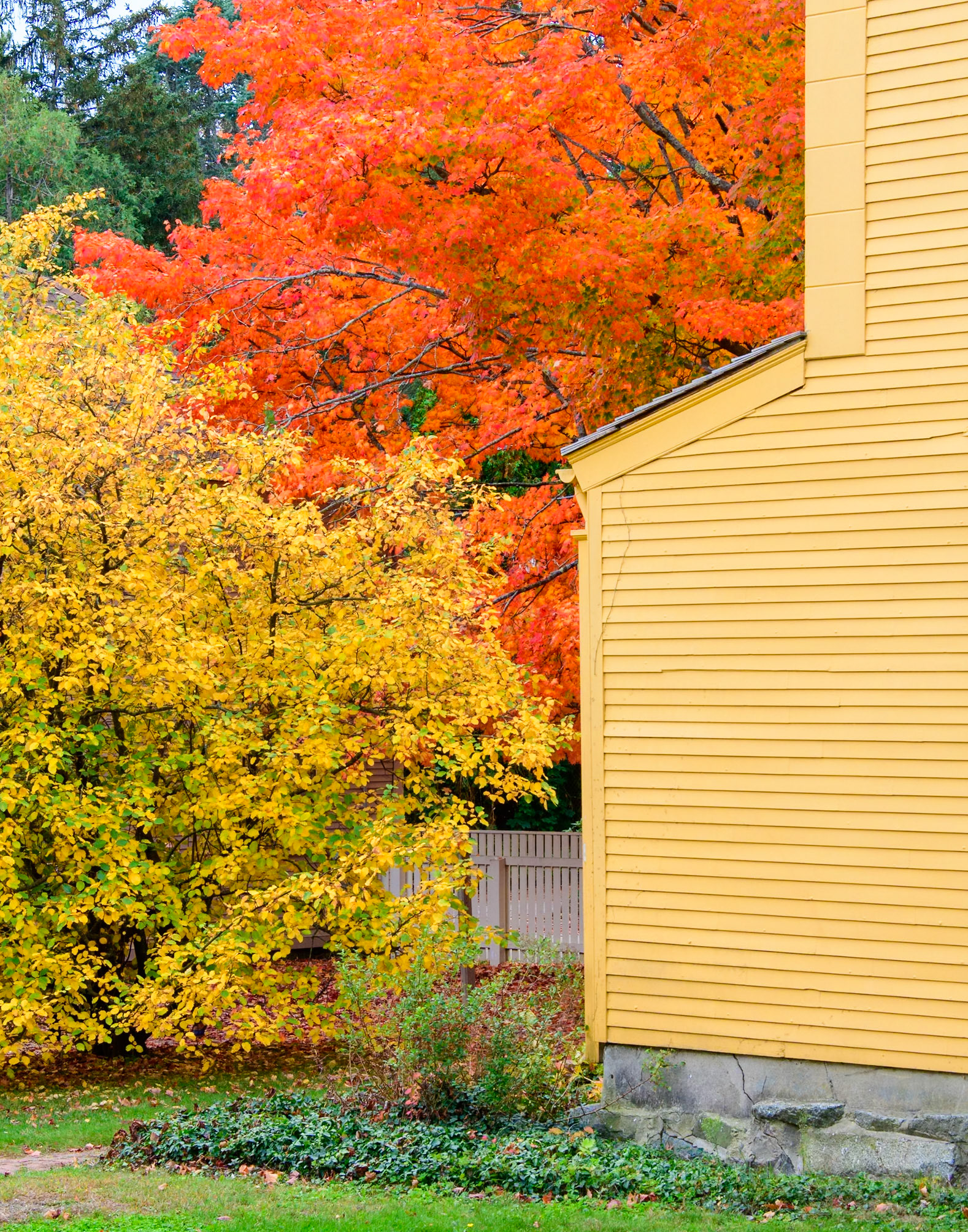 Complementary Colors