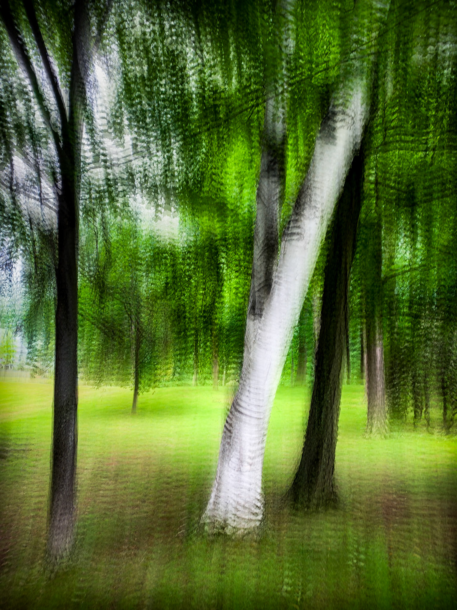 Used iPhone Slow Shutter app ◆