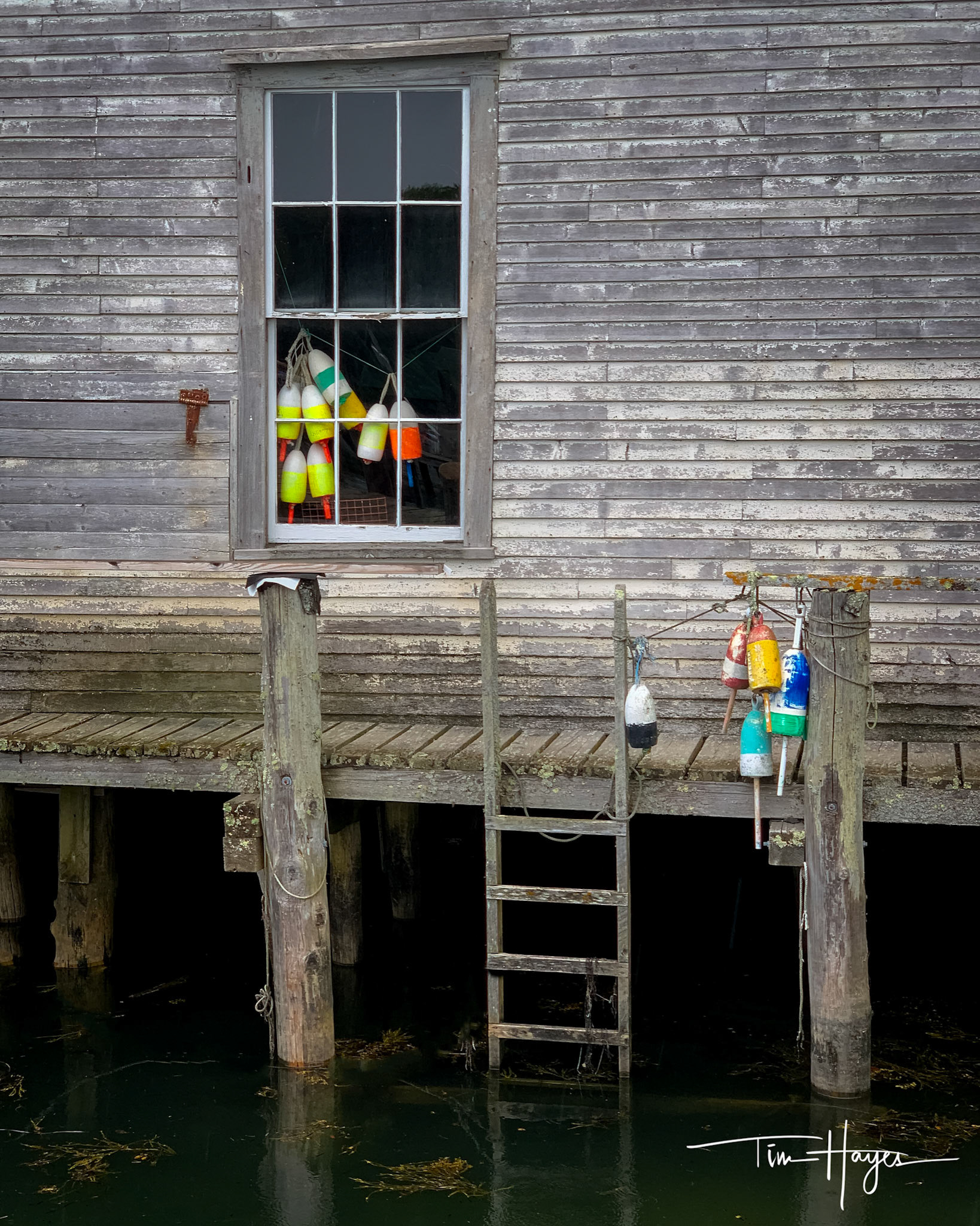 Port Clyde Lobester Shack