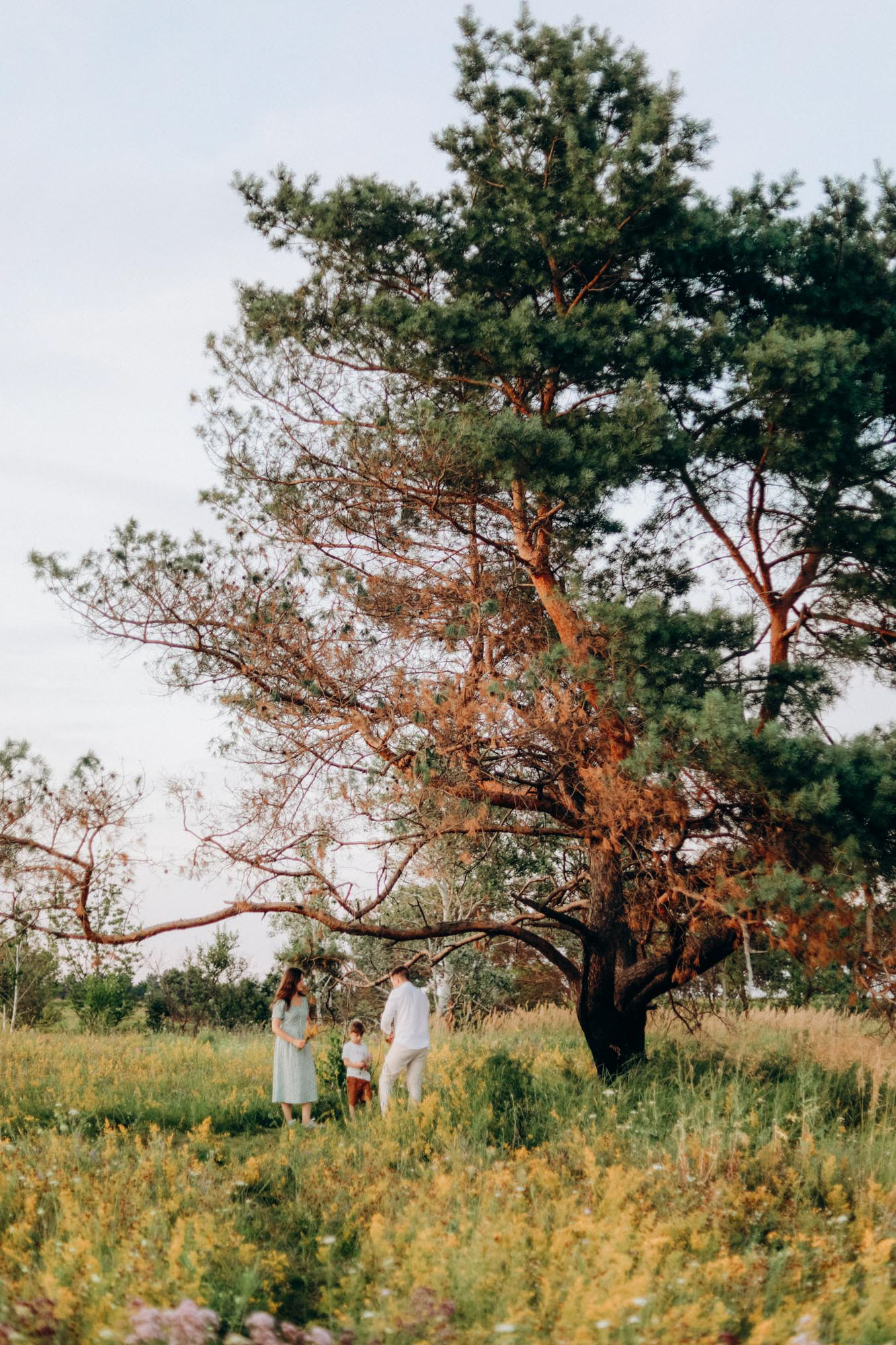 сімейні історії