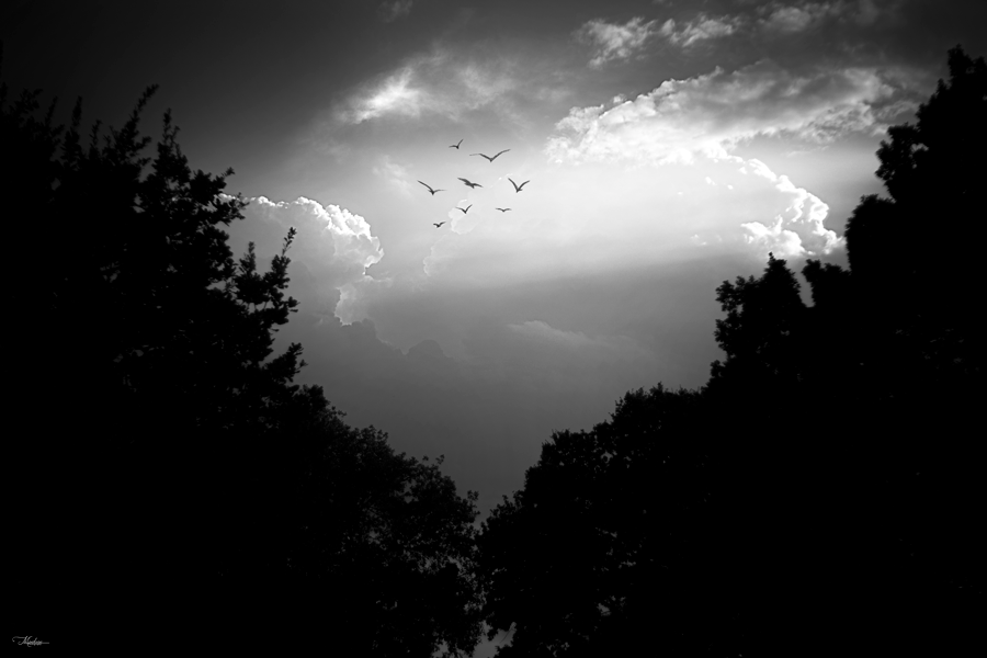 Verso l'infinito