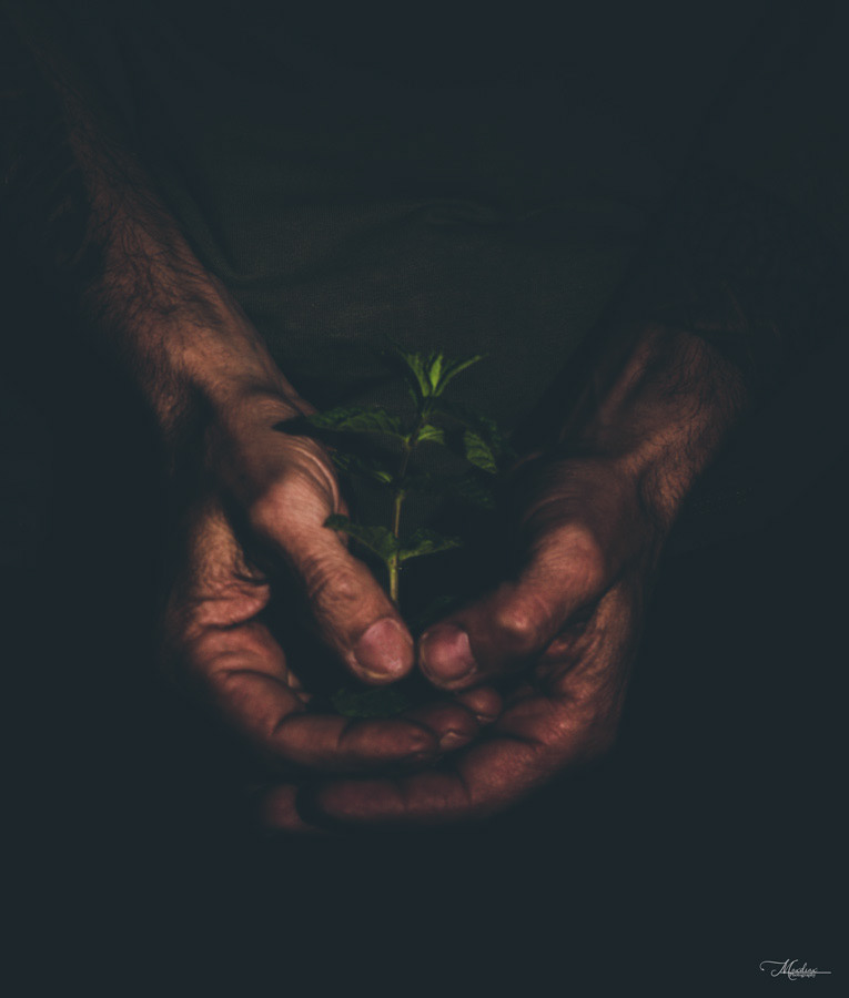 Quando non ho più nulla da dire, provo ad ascoltare ciò che sento. Penso che la fotografia sia come una sorta di macchina del tempo, ove non esiste passato-presente-futuro. maxdiax