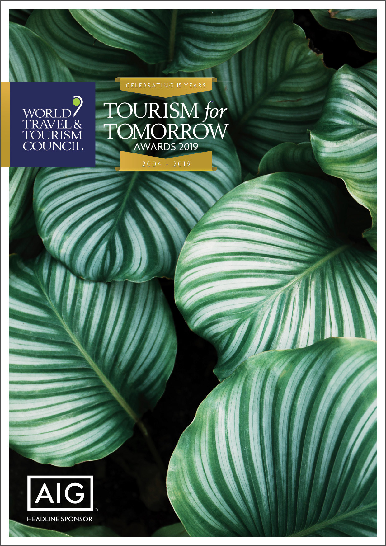 T4T brochure