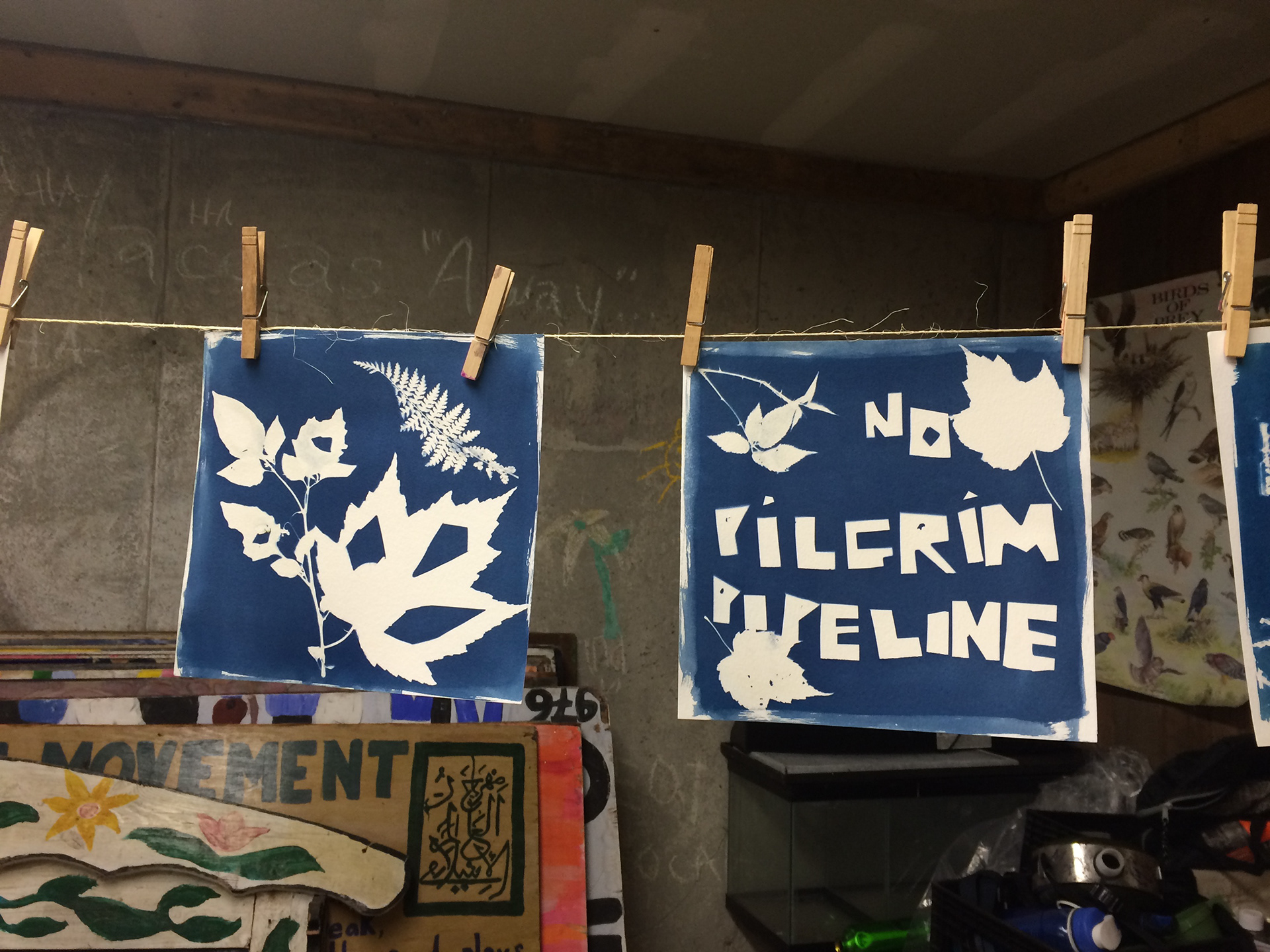 Cyanotype workshop at Kinderland's Art & Activism Festival