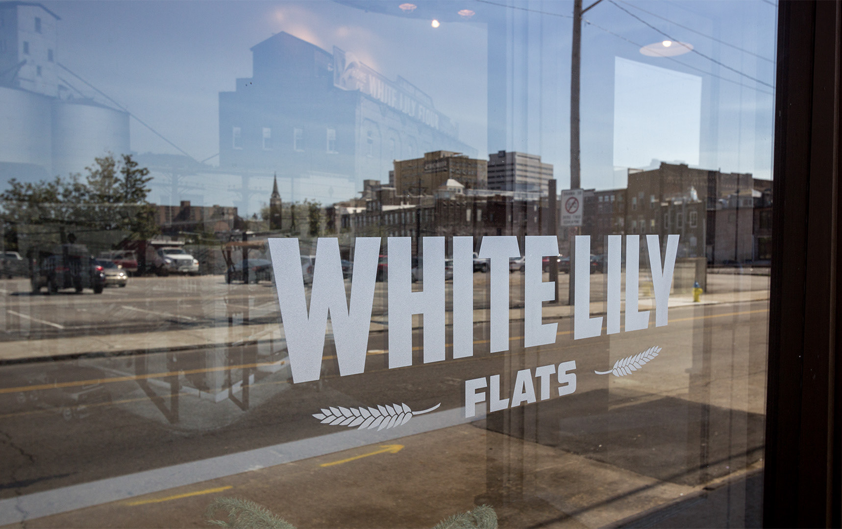 White Lily, 2015
