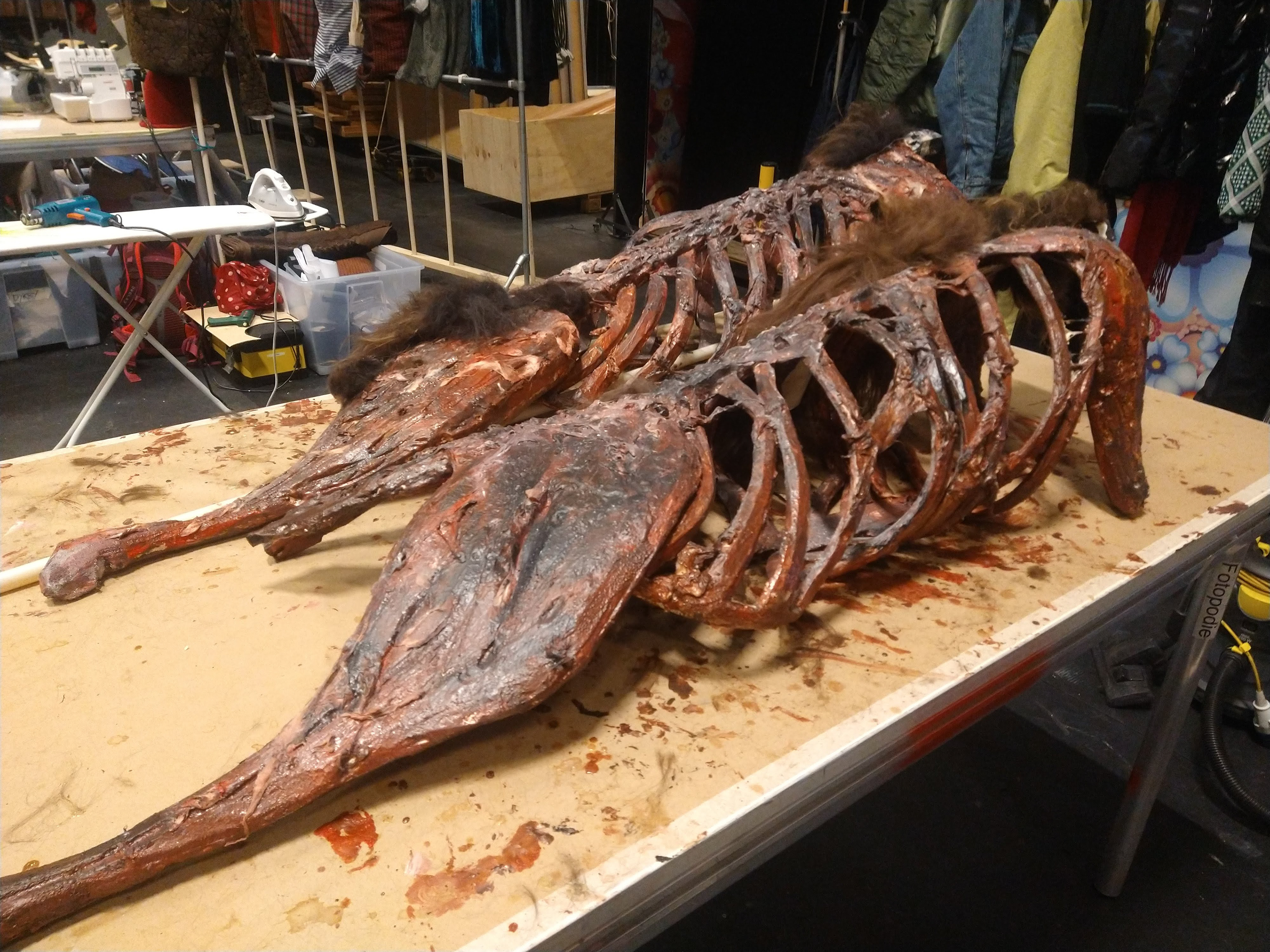 Carcass