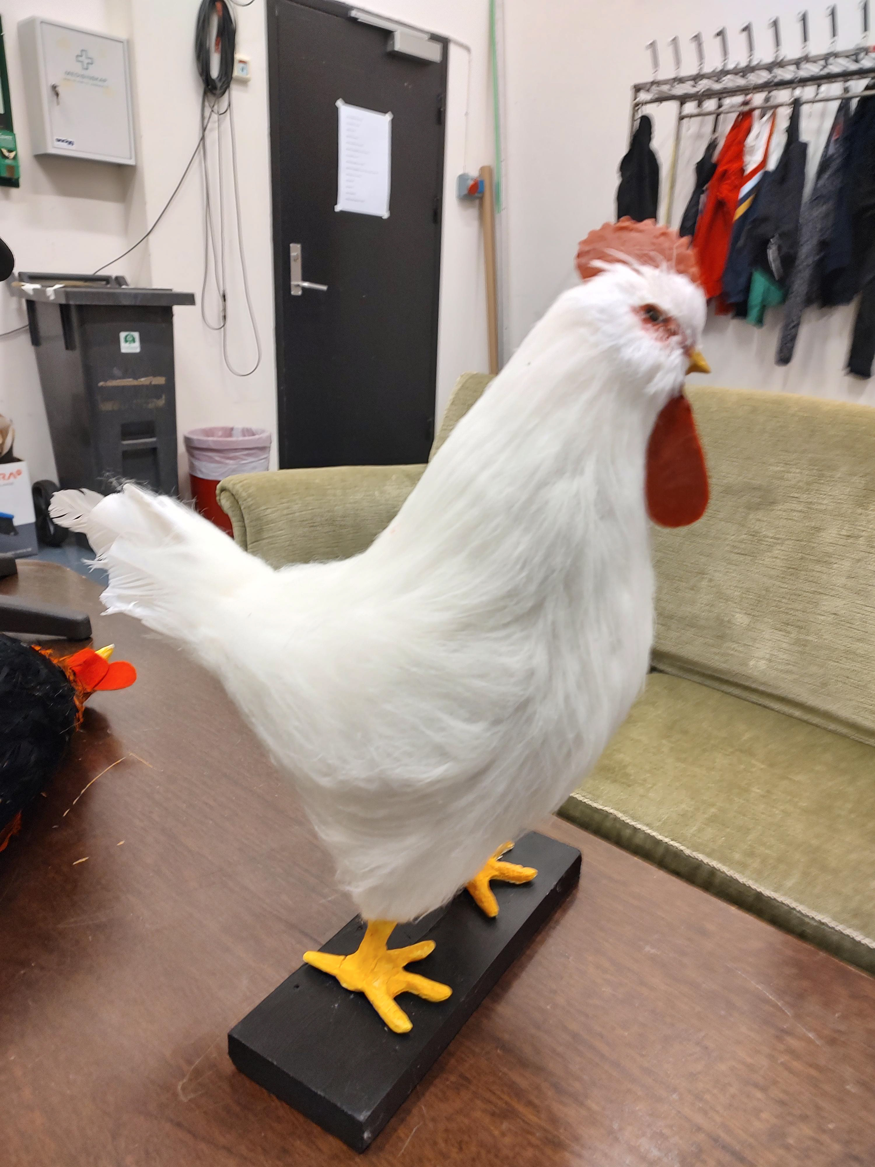 Hen