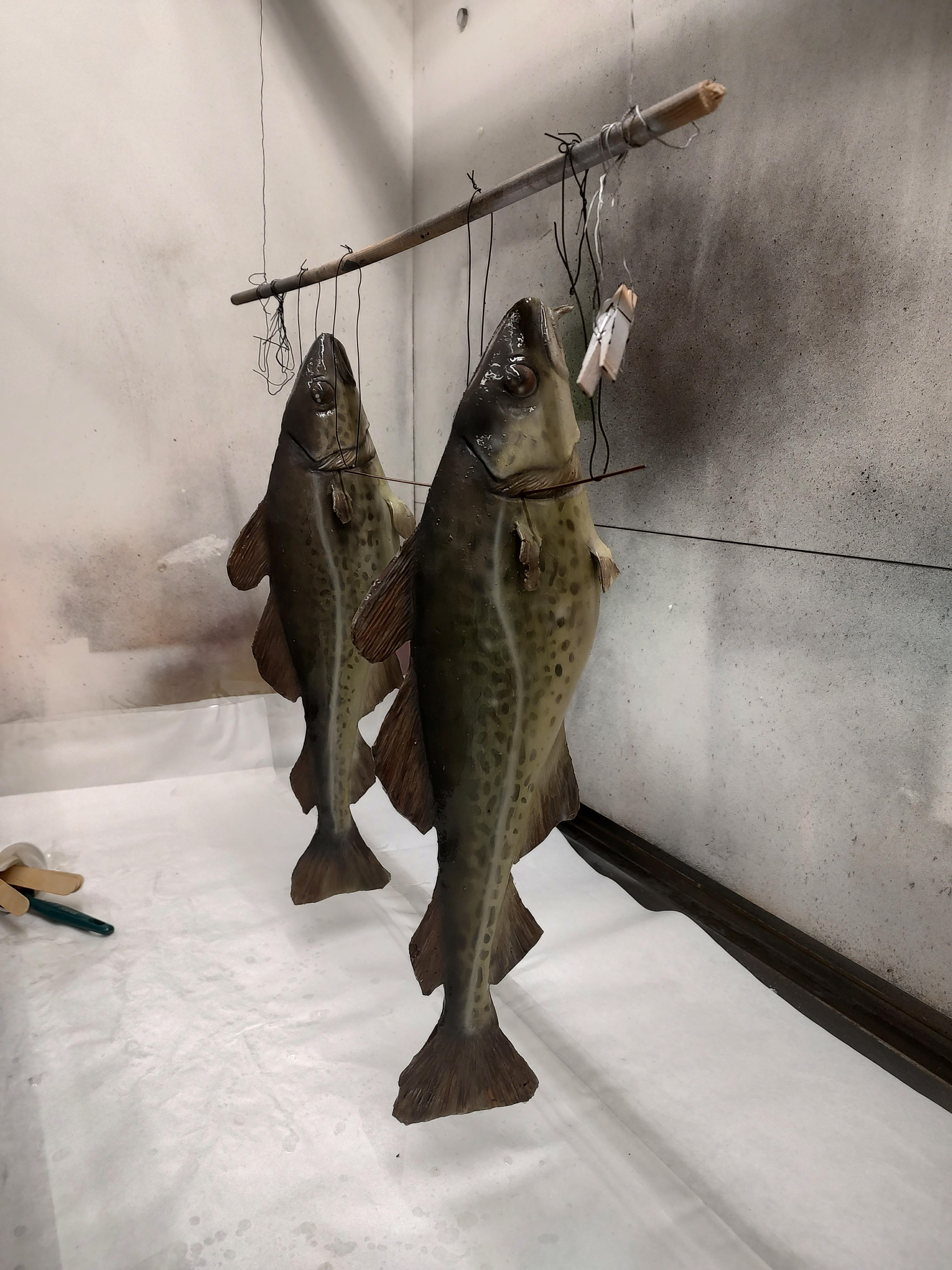 Silicone cod.