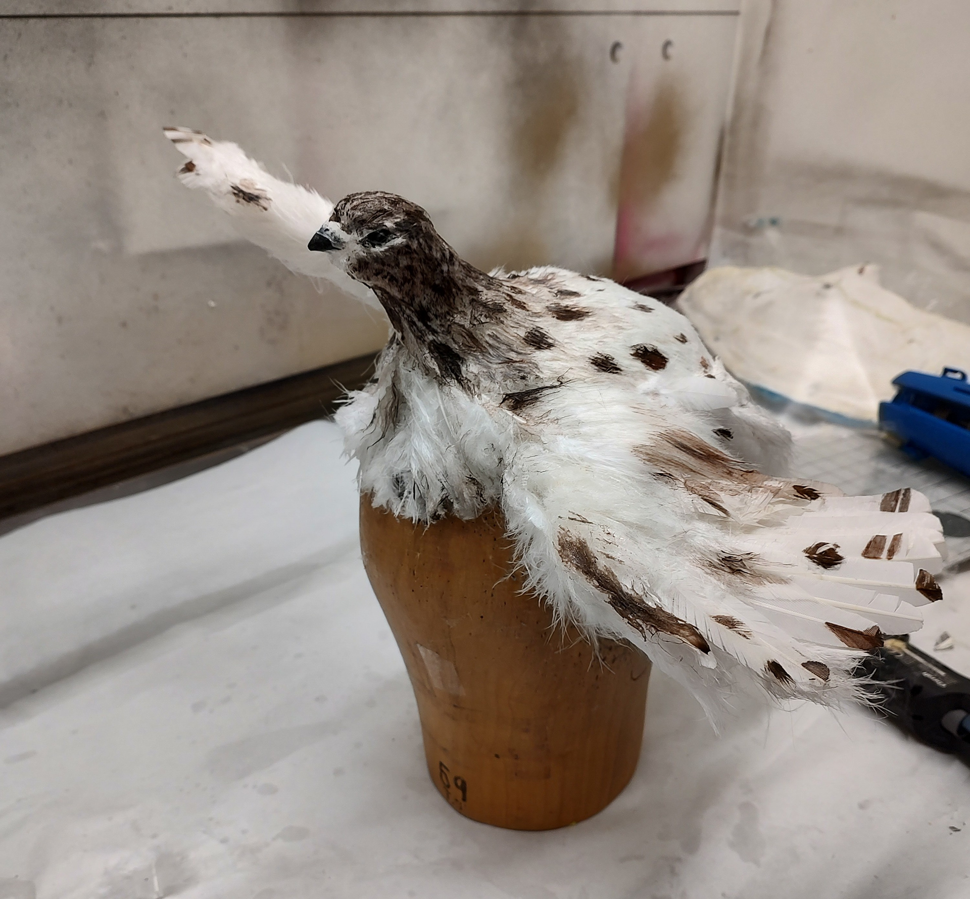Bird for a hat