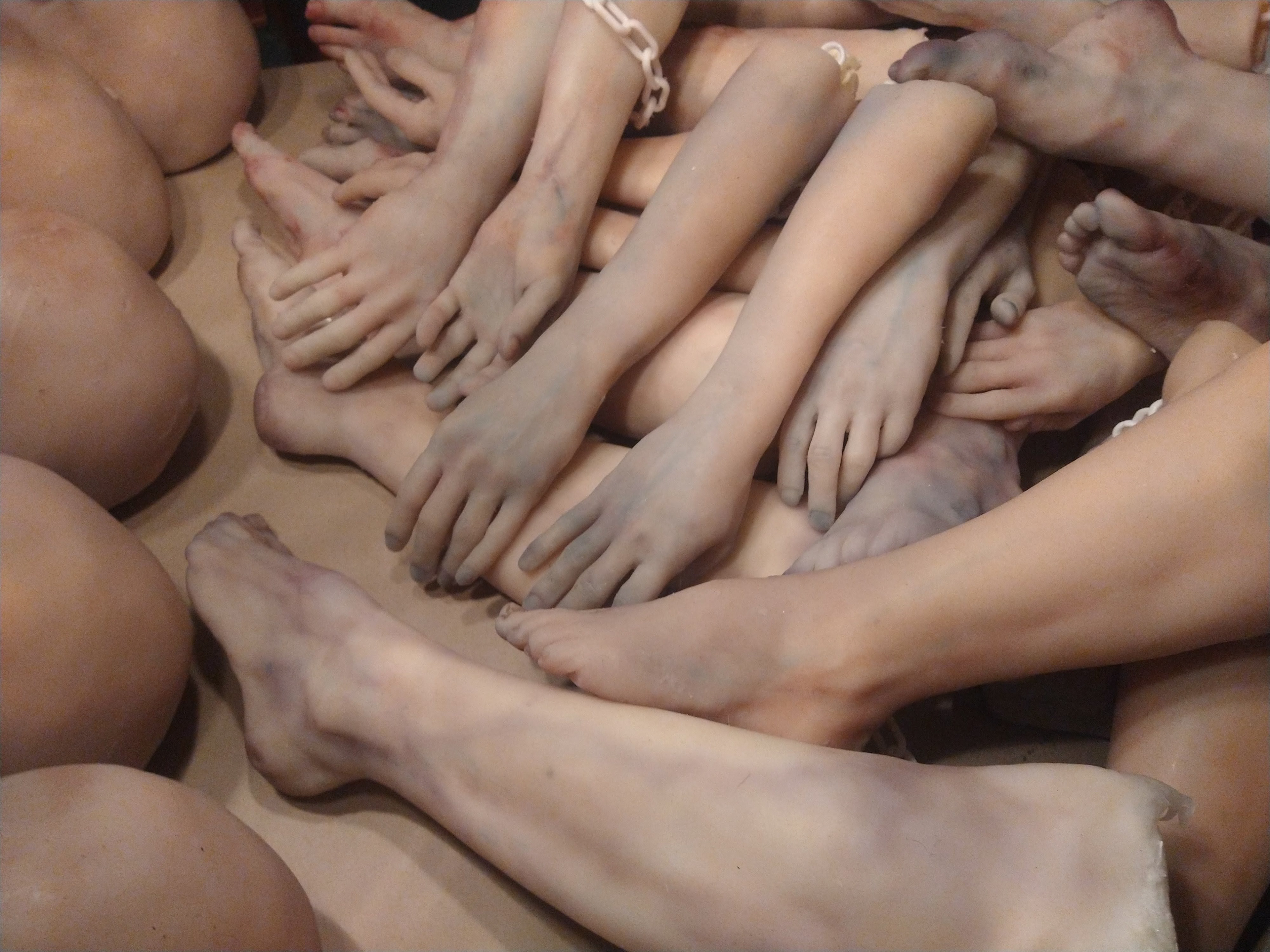 limbs