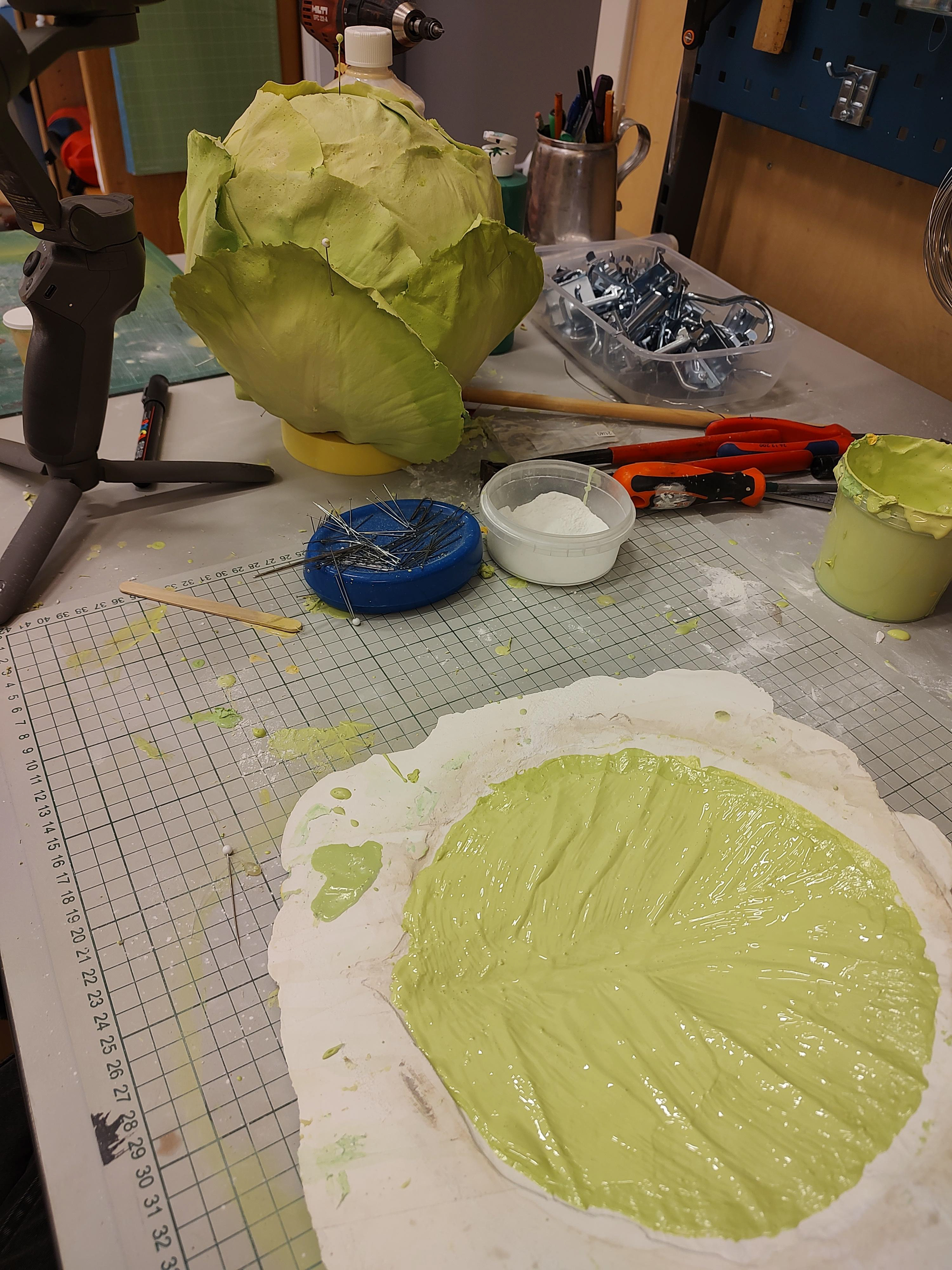 Cabbage head