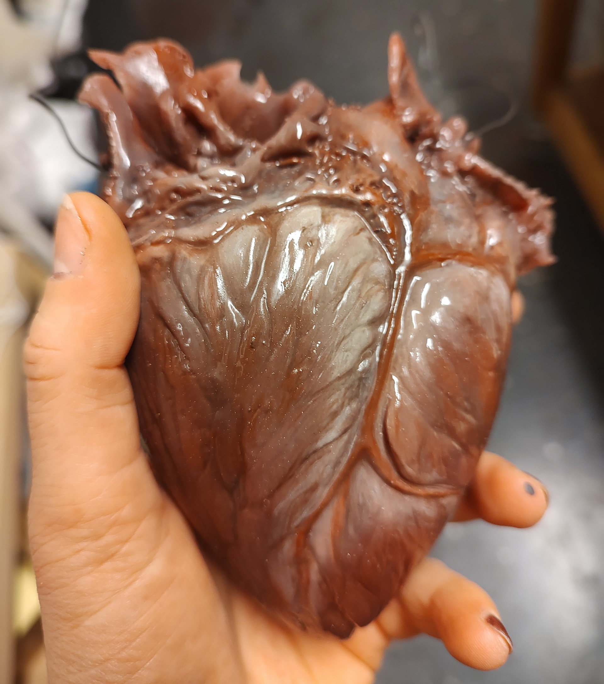 Heart