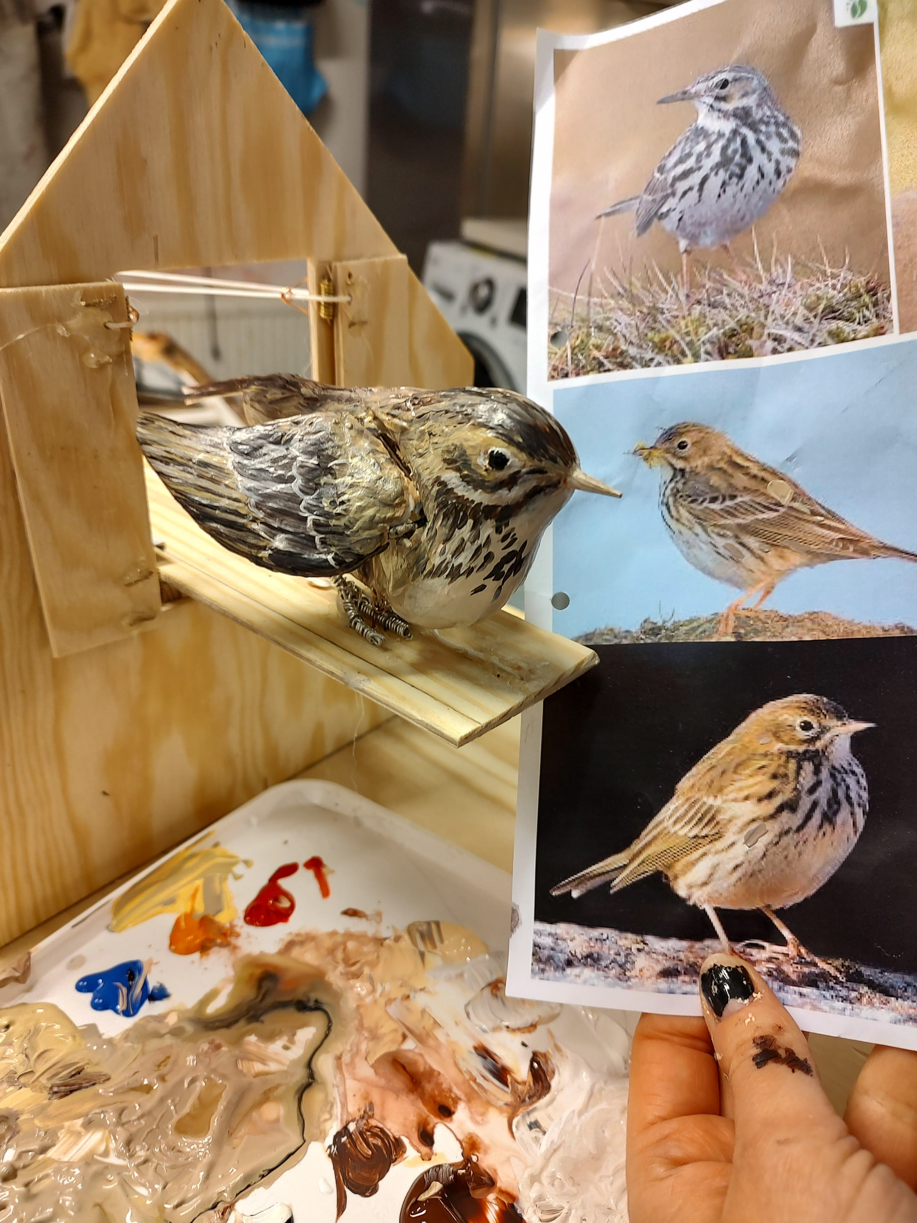 Mechanical pipit