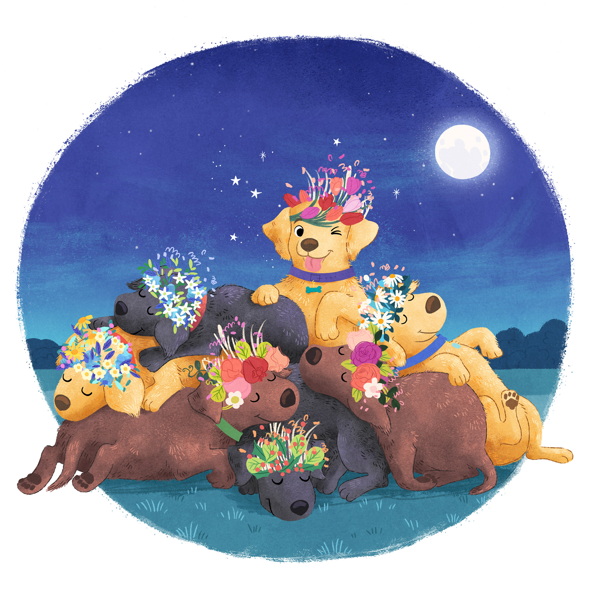 Flower Power Labradors. Affirm Press Kids – Illustrated by Allison Langton.