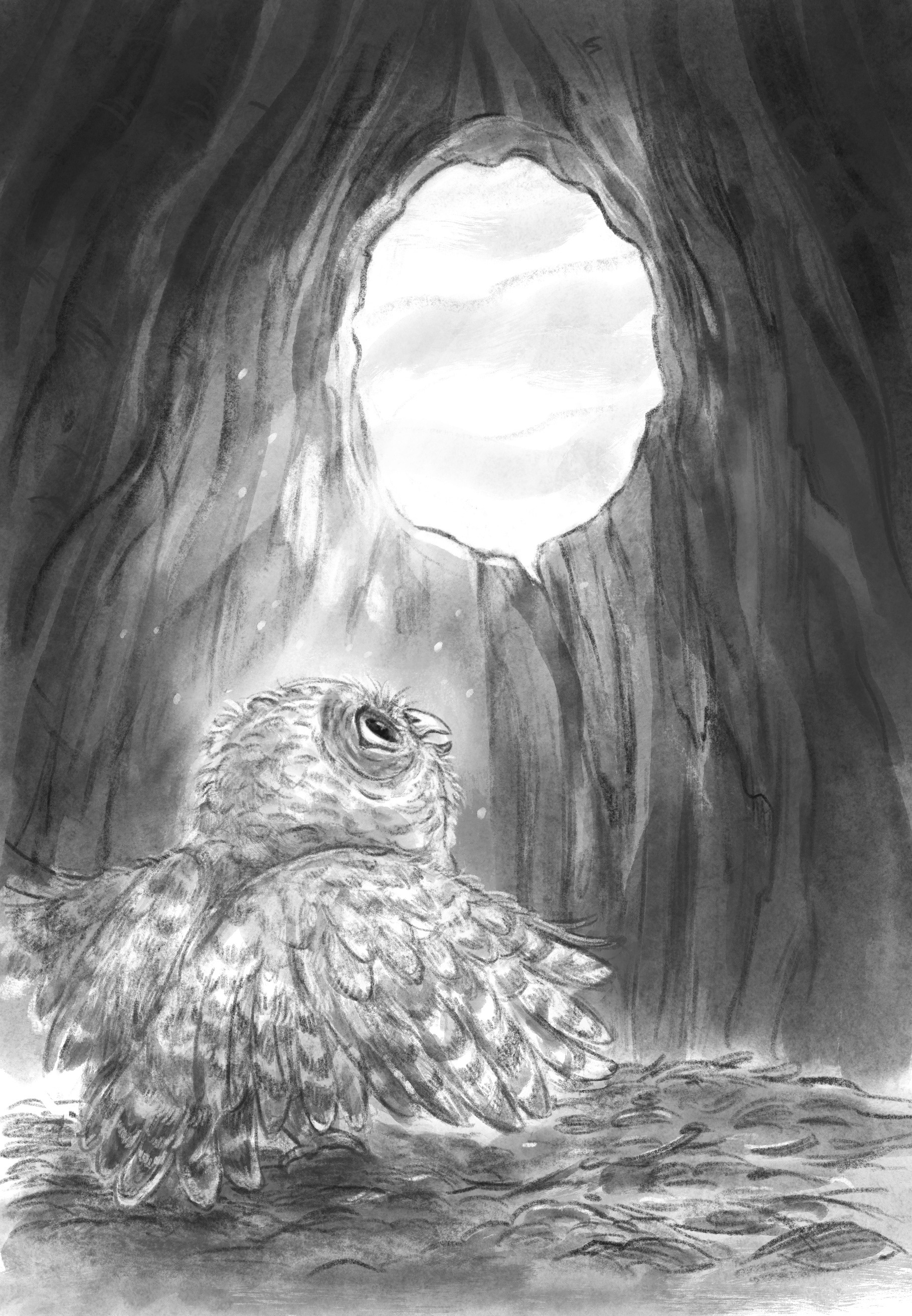 Interior Illustration for Wildlife Rescue: How to Save an Owl