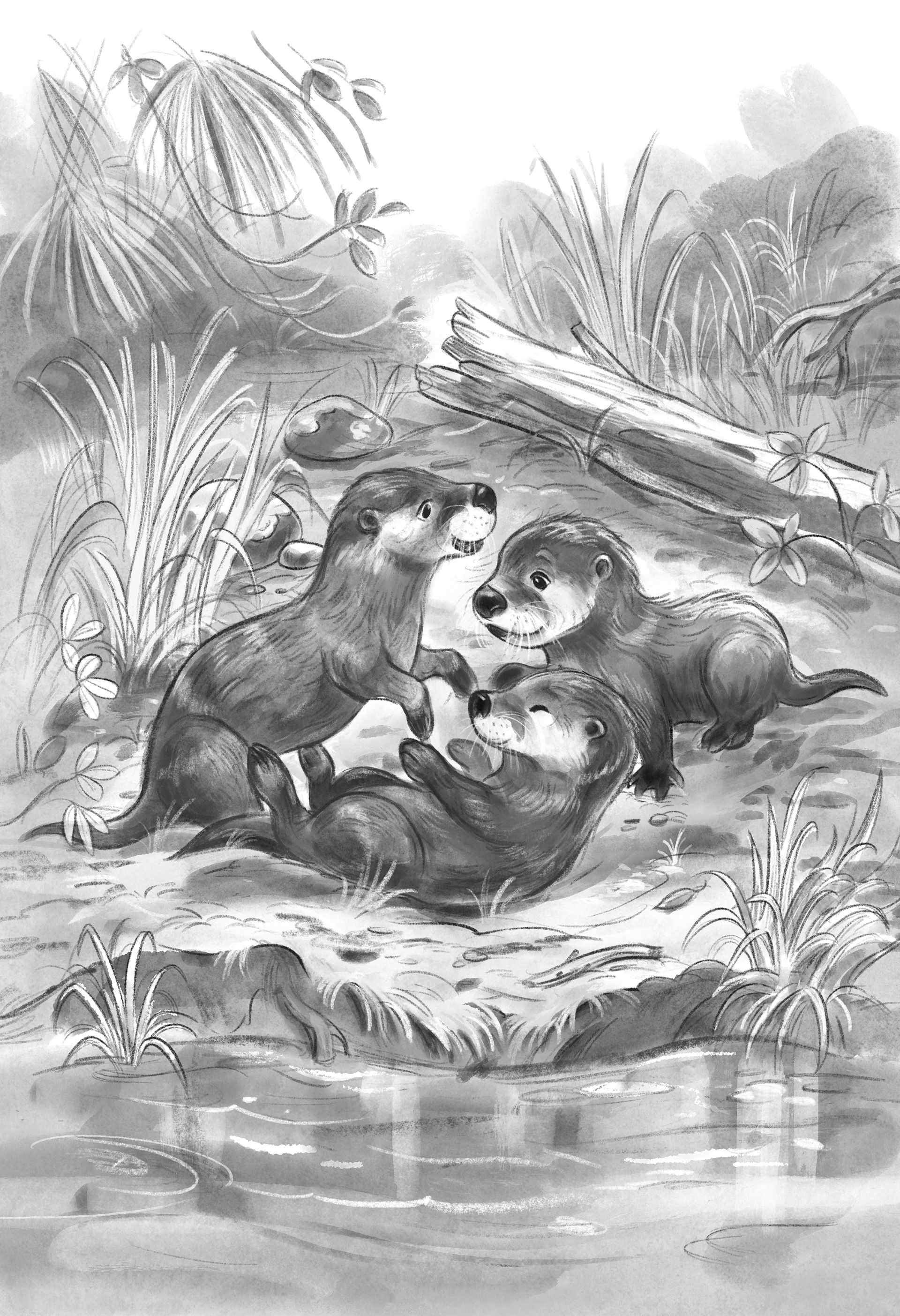 Interior Illustration for Wildlife Rescue: How to Save an Otter