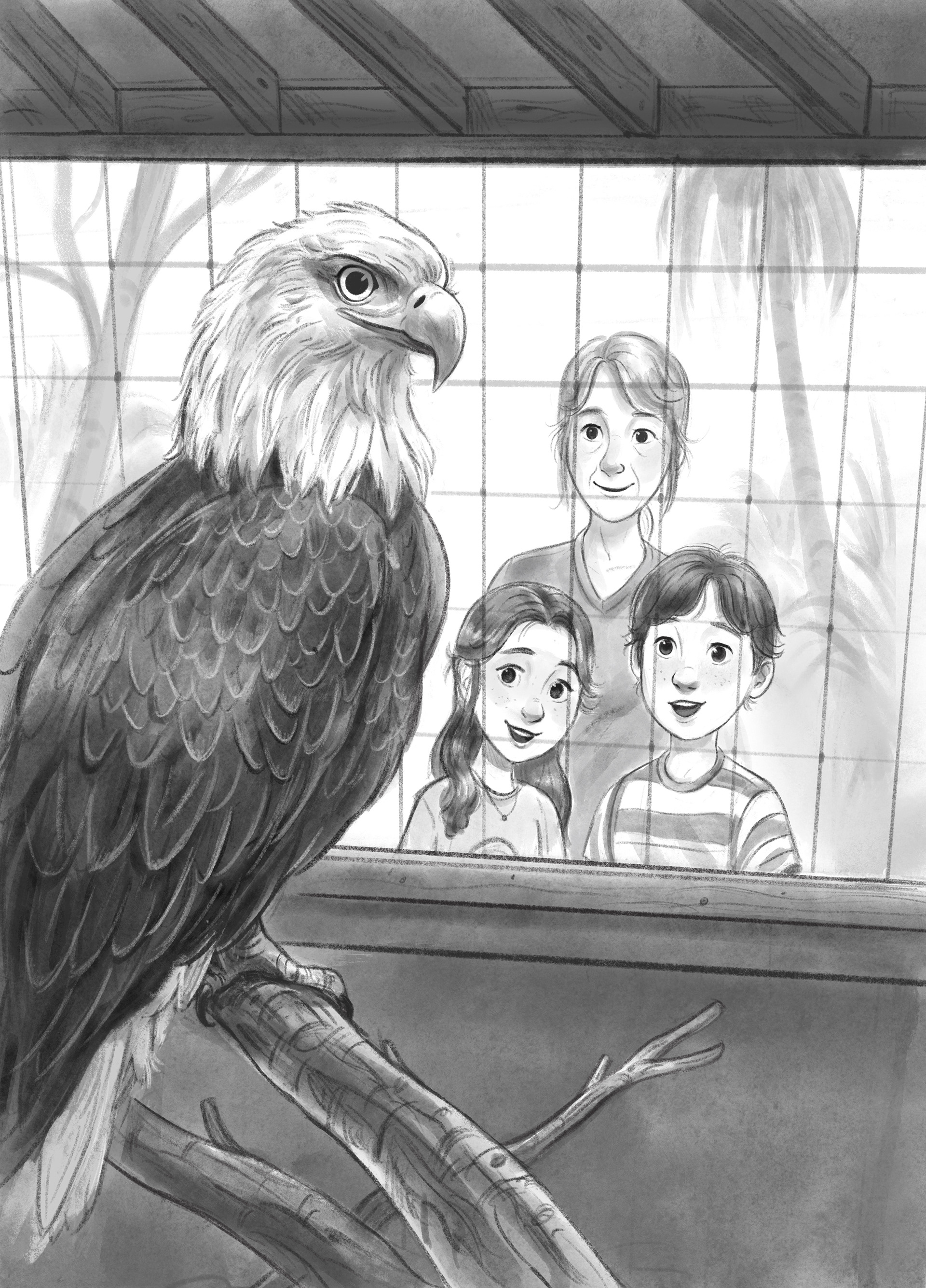 Interior Illustration for Wildlife Rescue: How to Save an Owl