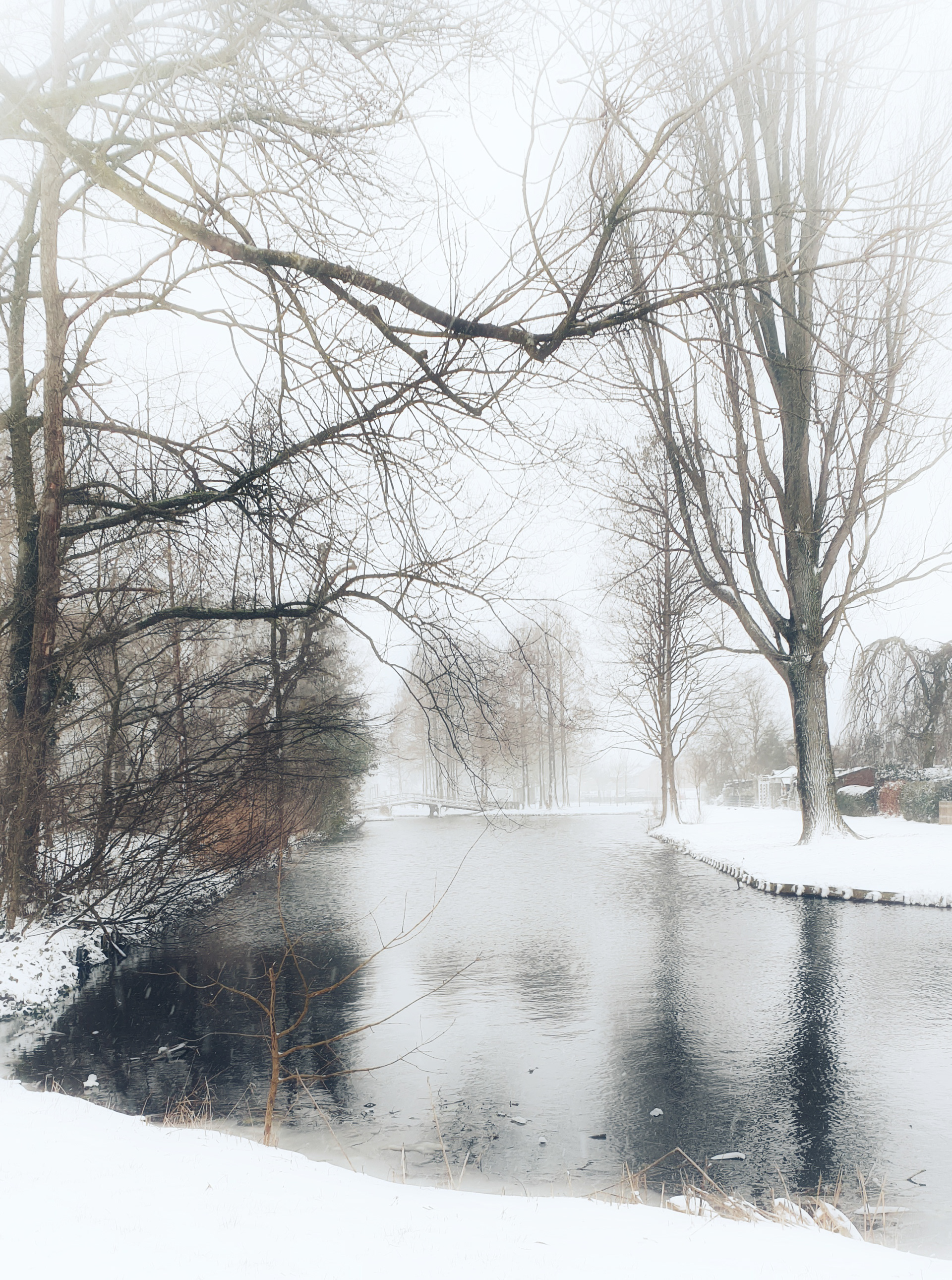 When it snows! Zuid Holland, 2021