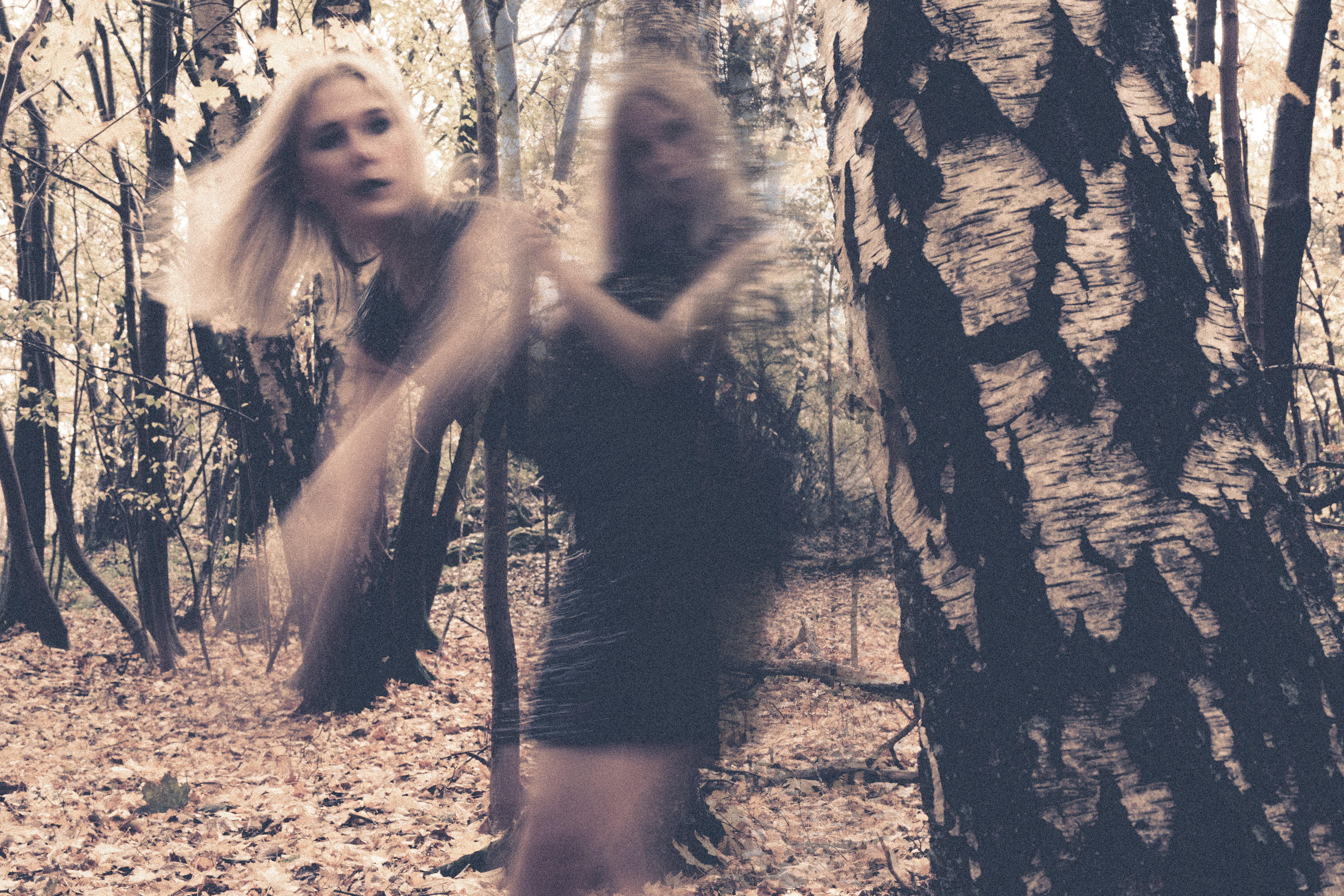 ANALOG TWINS