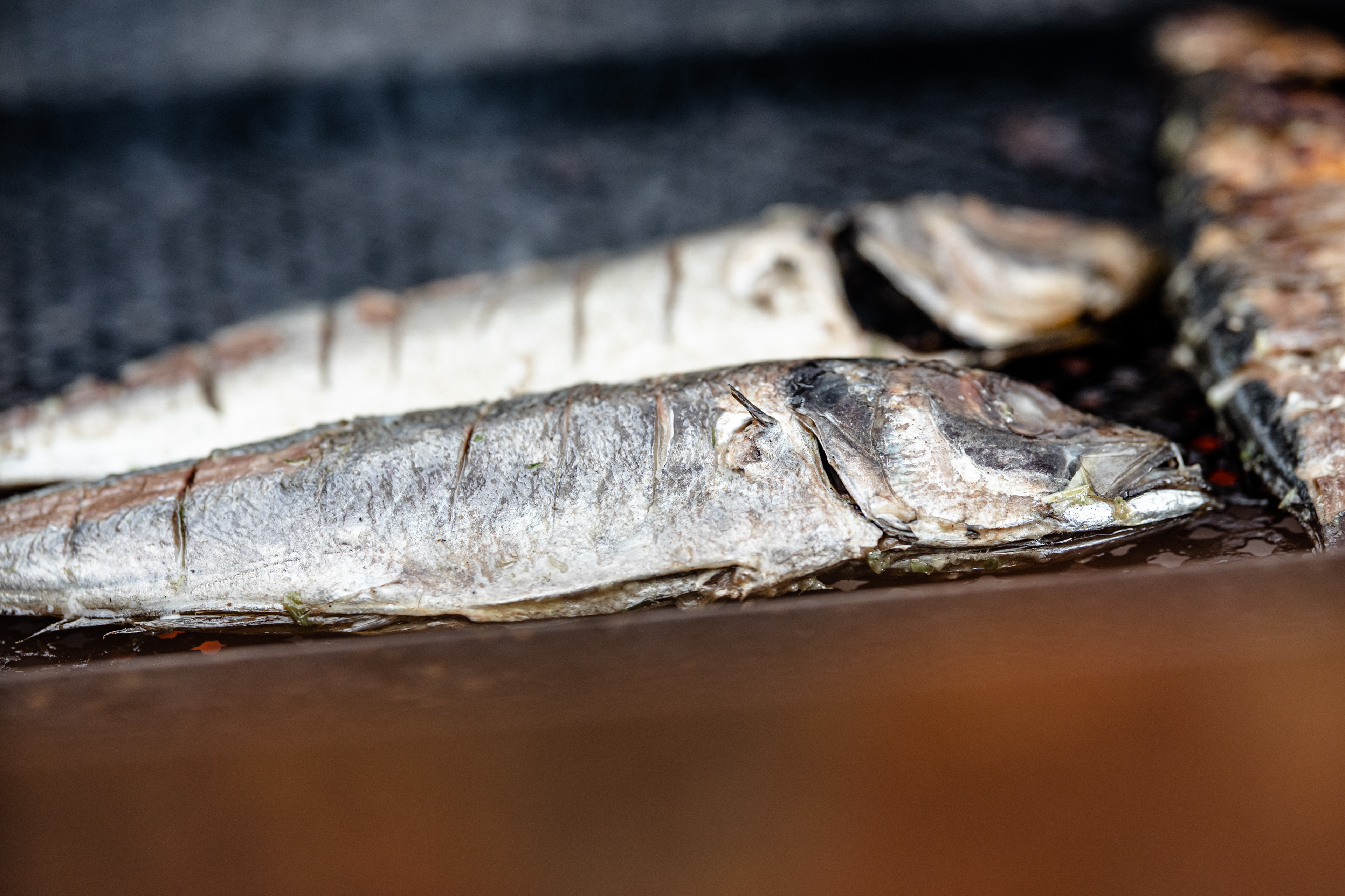 GRILLED FISH