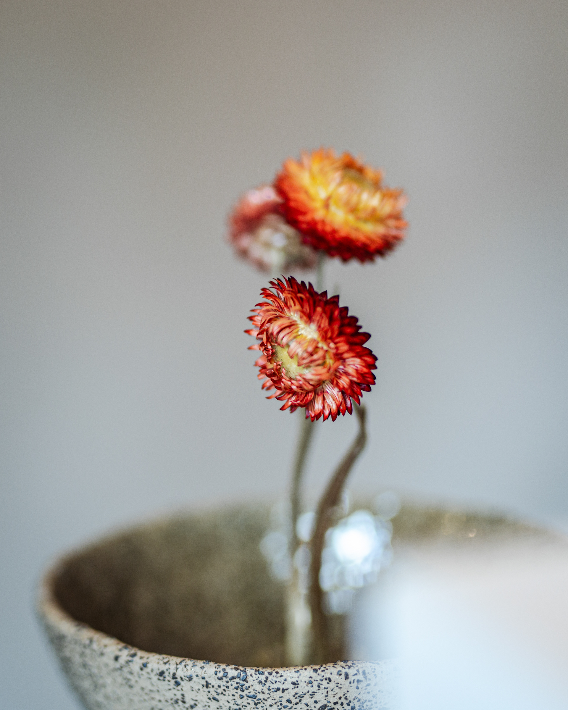 INTERIÖR OCH PRODUKTFOTOINTERIÖR OCH PRODUKTFOTO - ANNE DREWITS