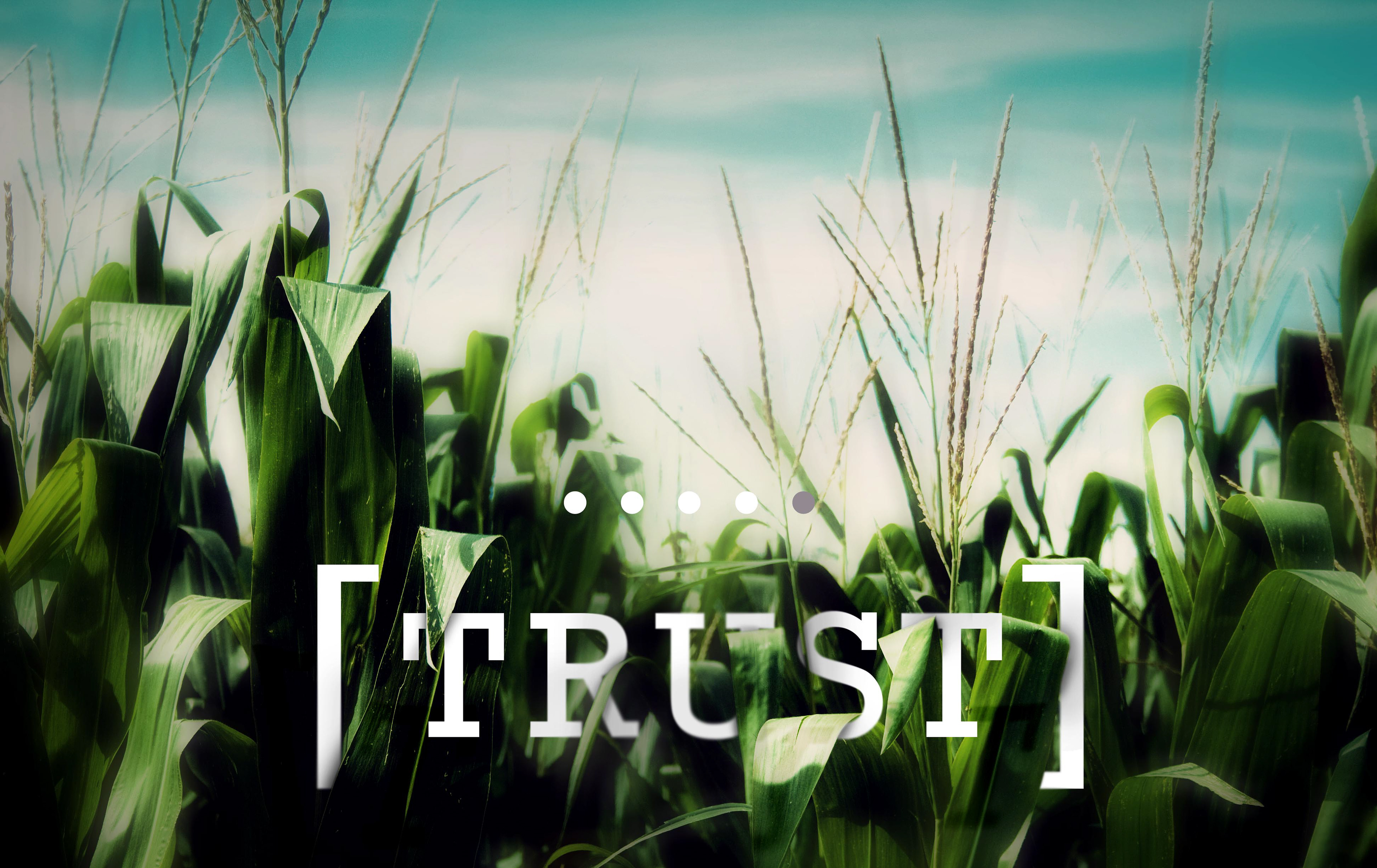 Splash Page Design | FarmersEdge Co.