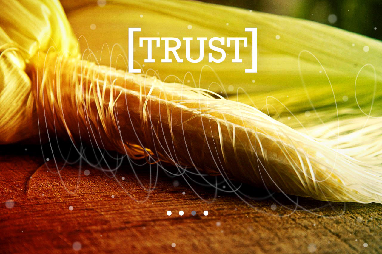 Splash Page Design | FarmersEdge Co.