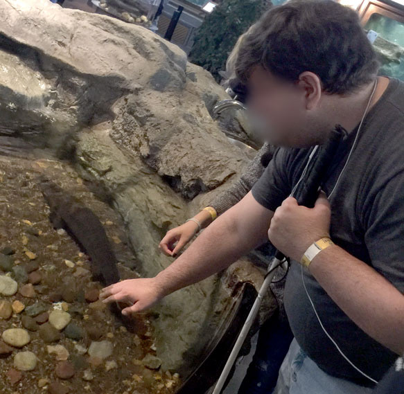 One participant touching a fish in the exhibition