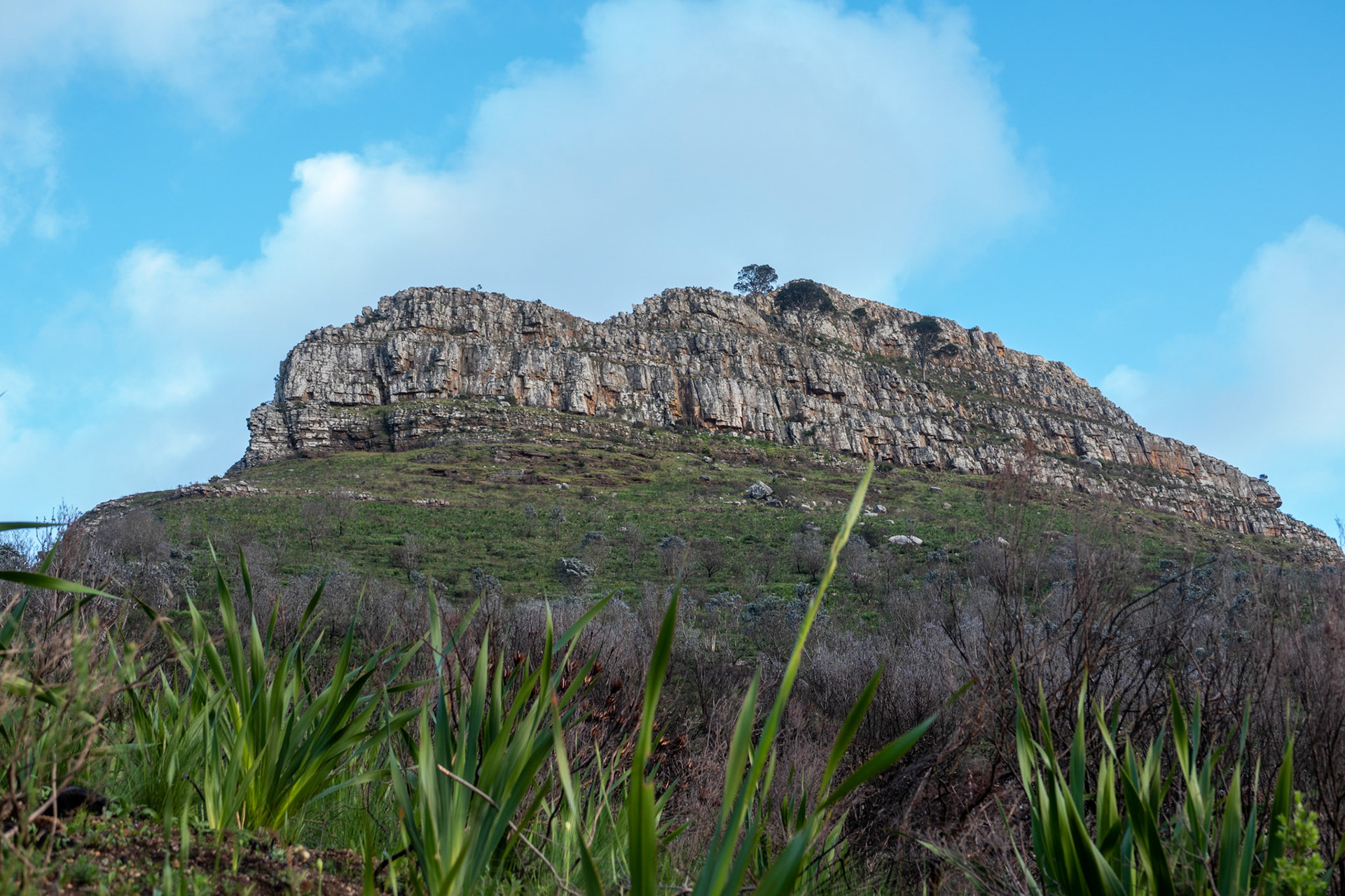 Cape Town