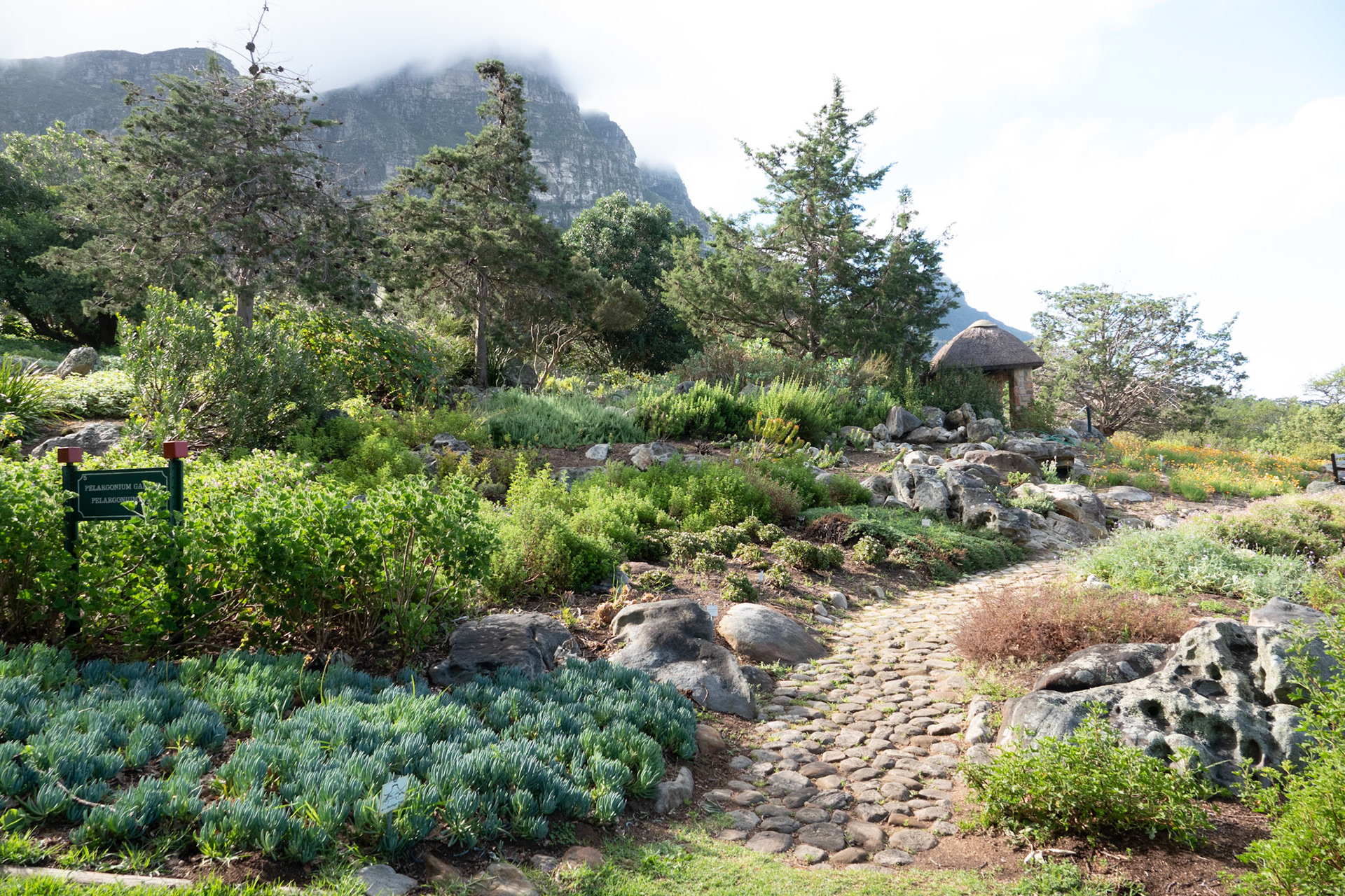 Cape Town