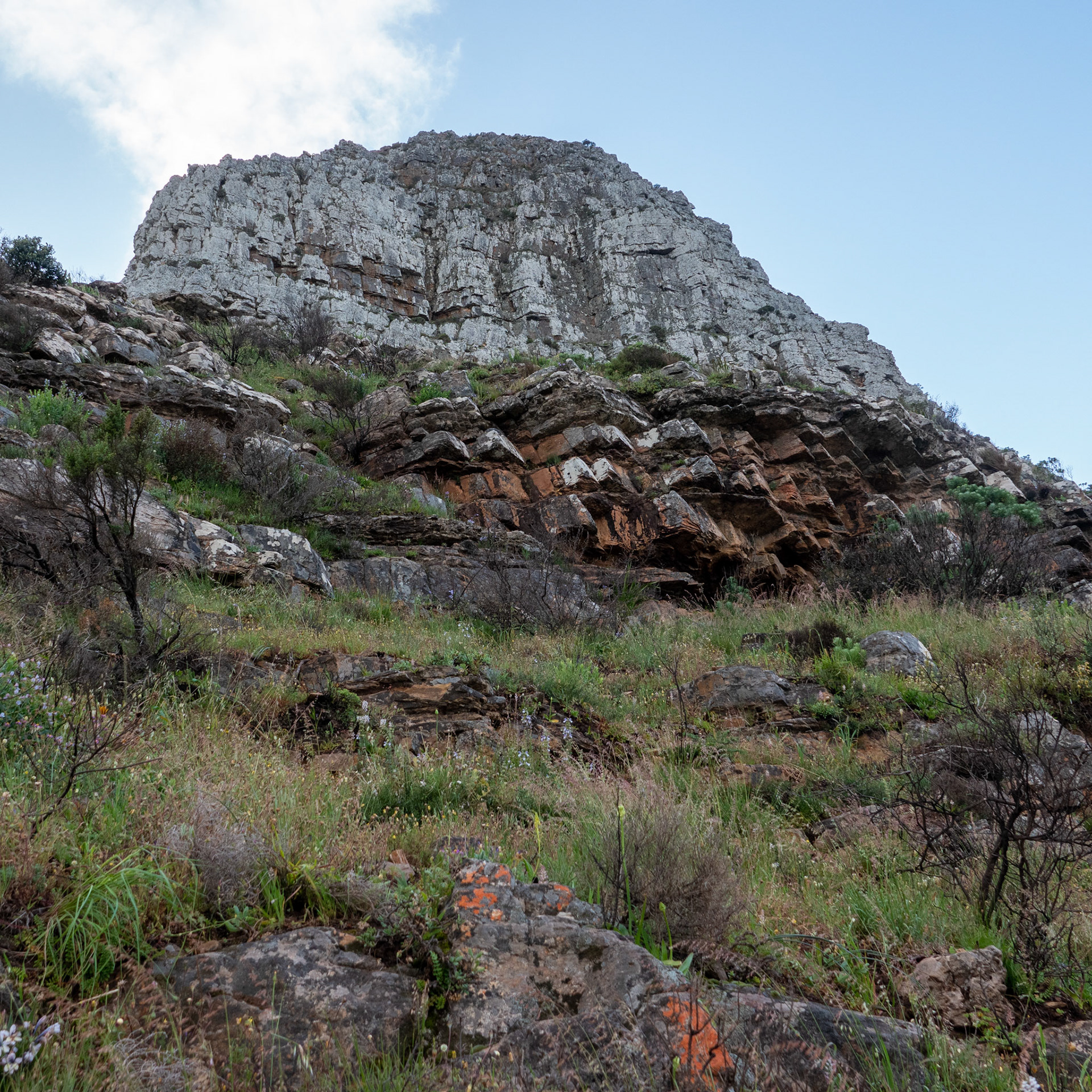 Cape Town