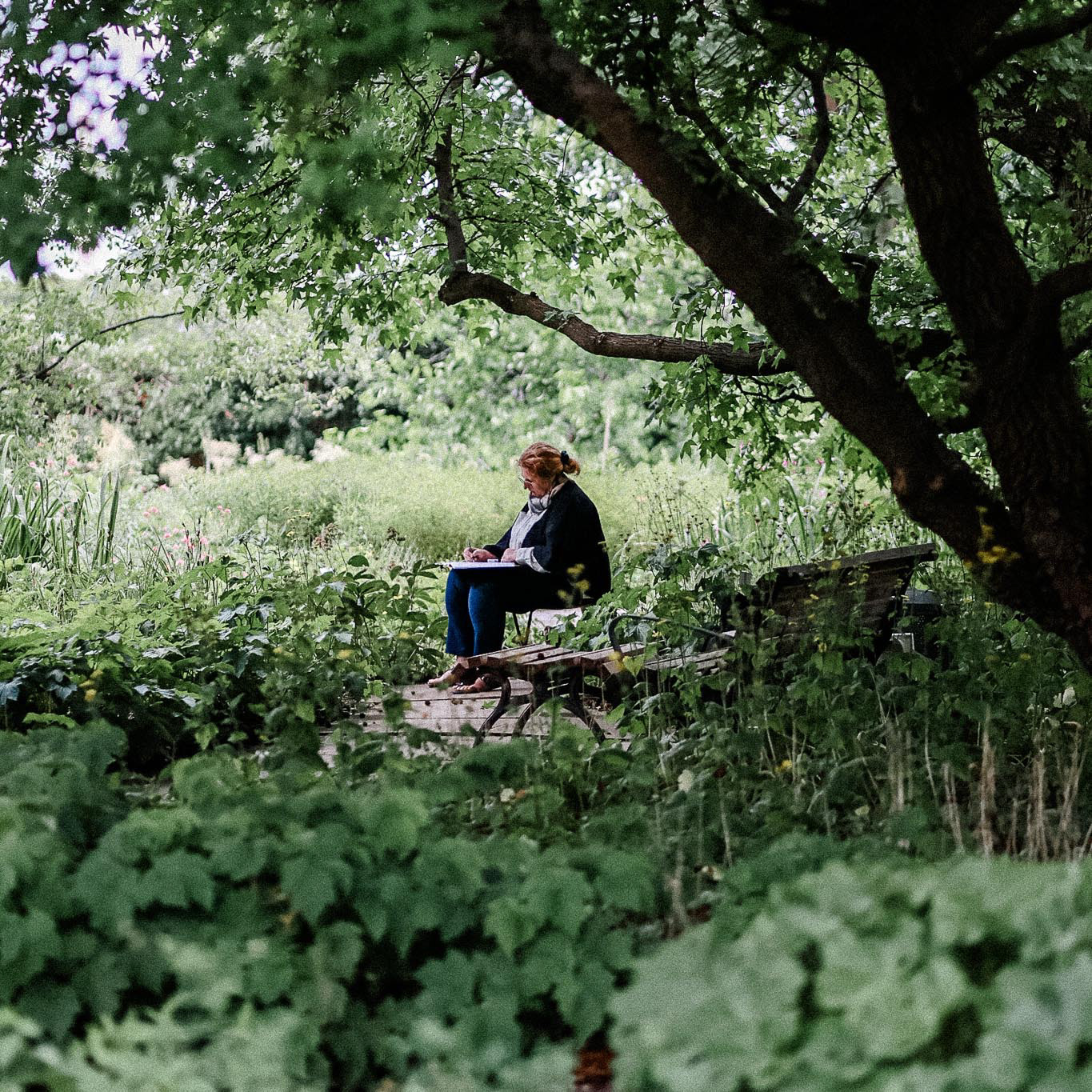 Zeichnen im Berggarten (2. Workshoptag)
