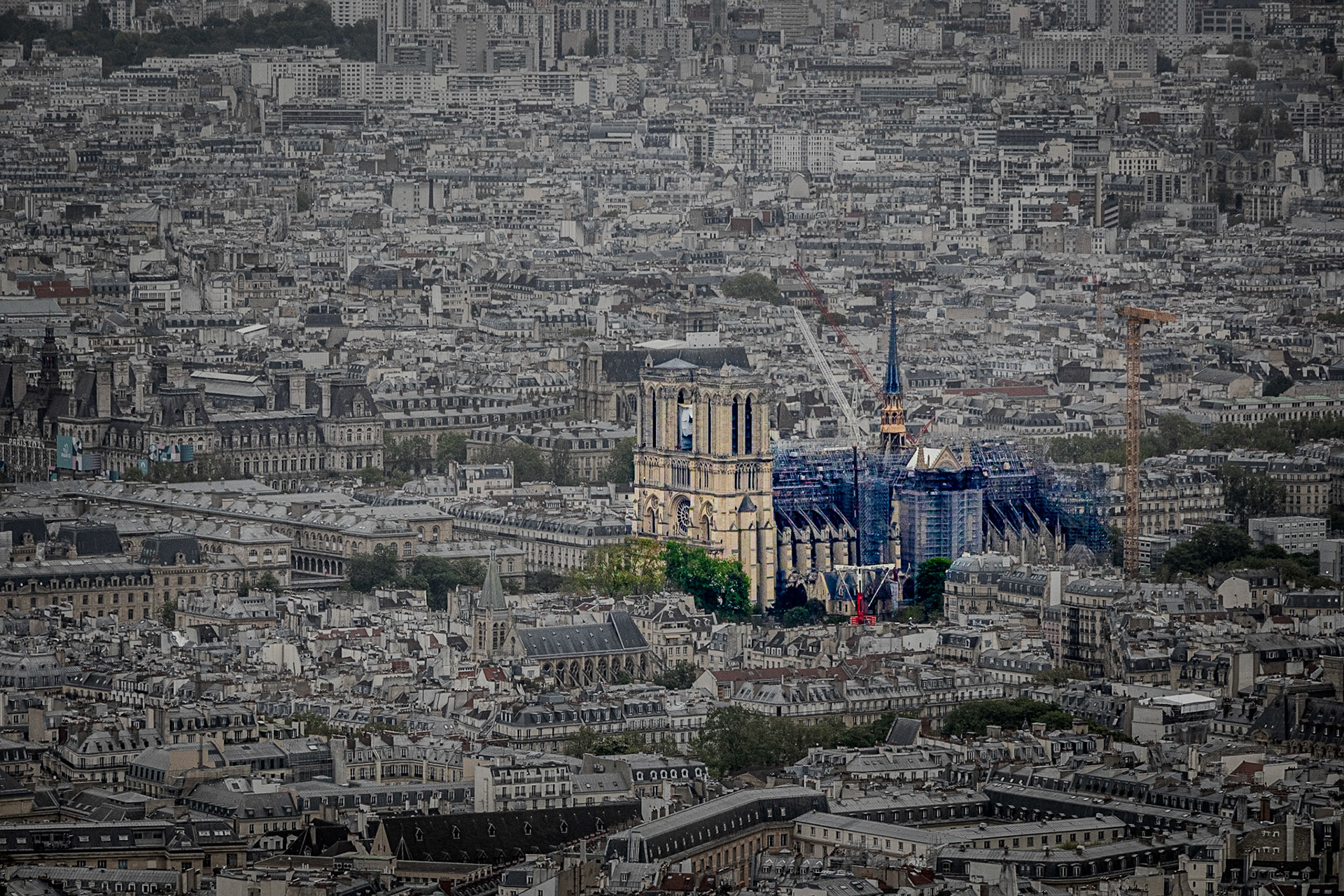Notre-Dame de Paris