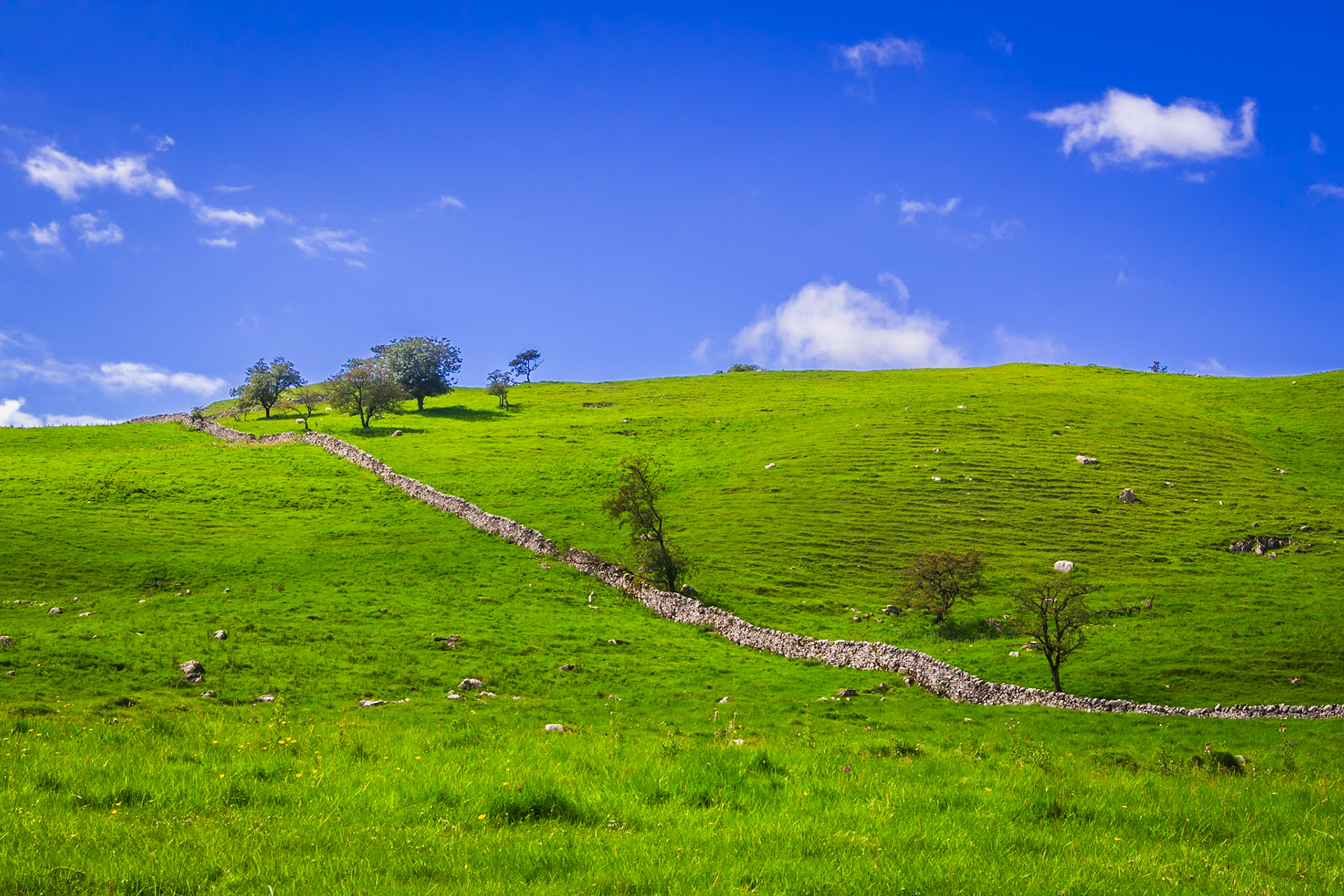Malham Cove area