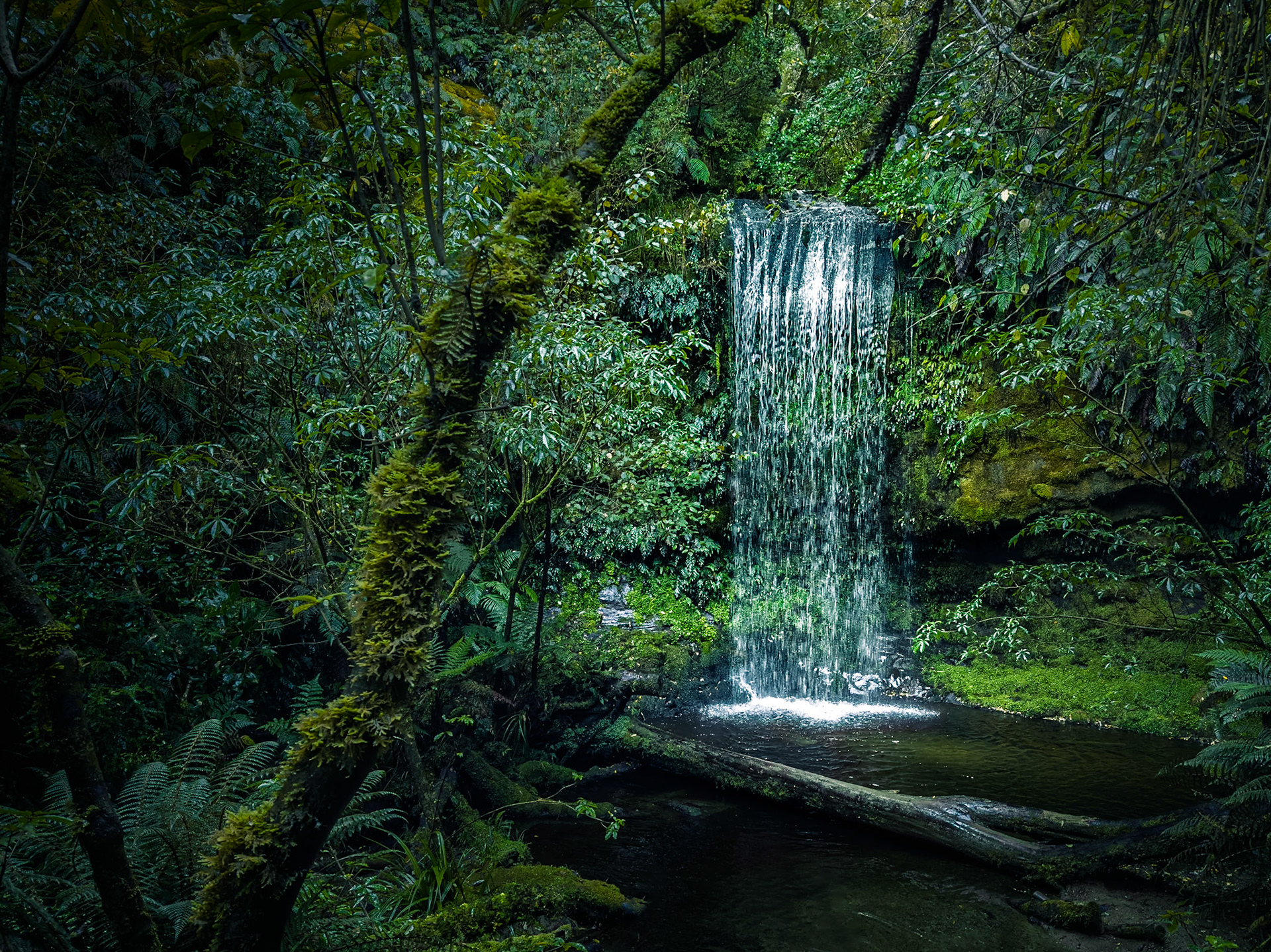 Koropuku Falls